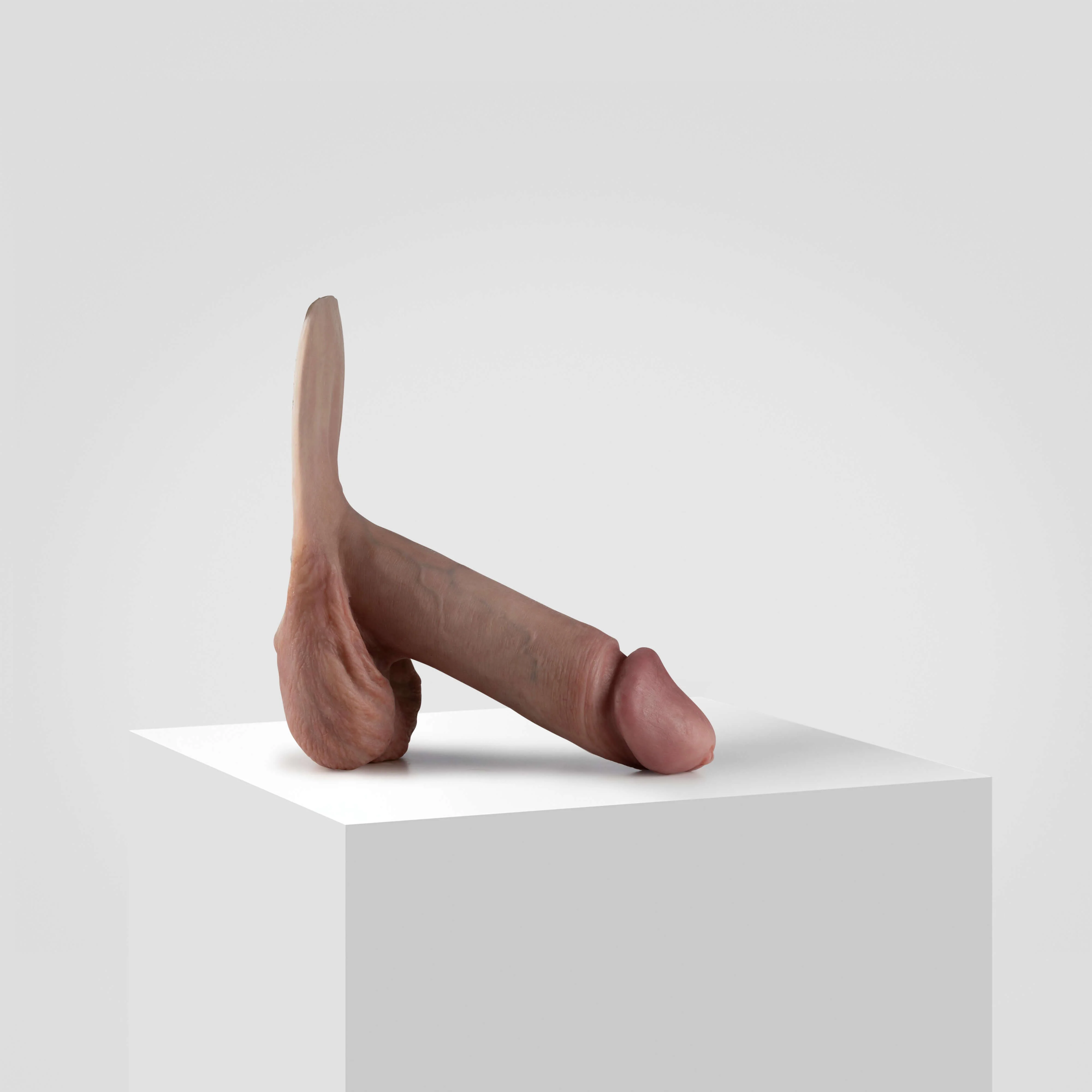 Emisil ER11 | Large Realistic FTM Pack & Play Model - Image 3