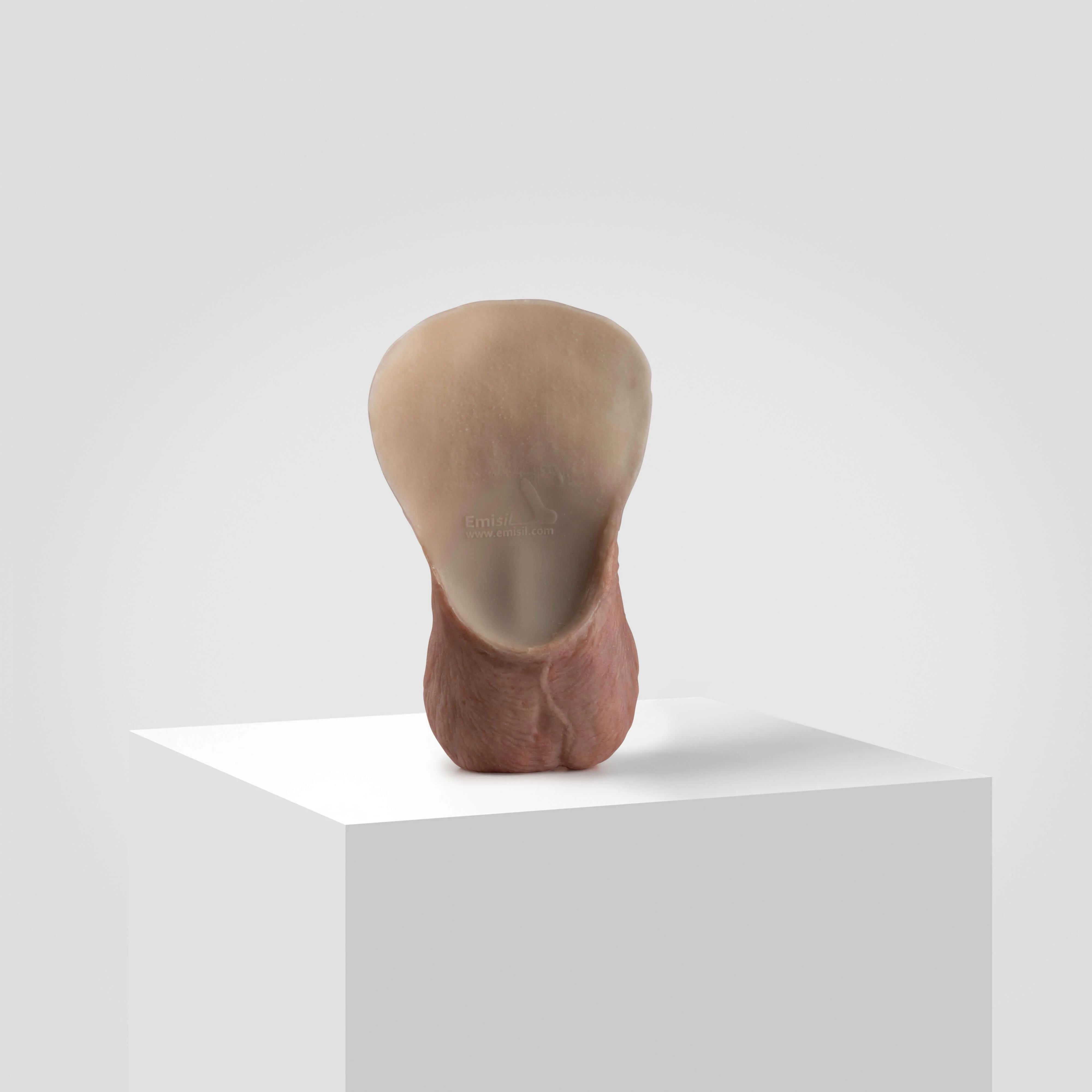 Emisil ER11 | Large Realistic FTM Pack & Play Model - Image 4