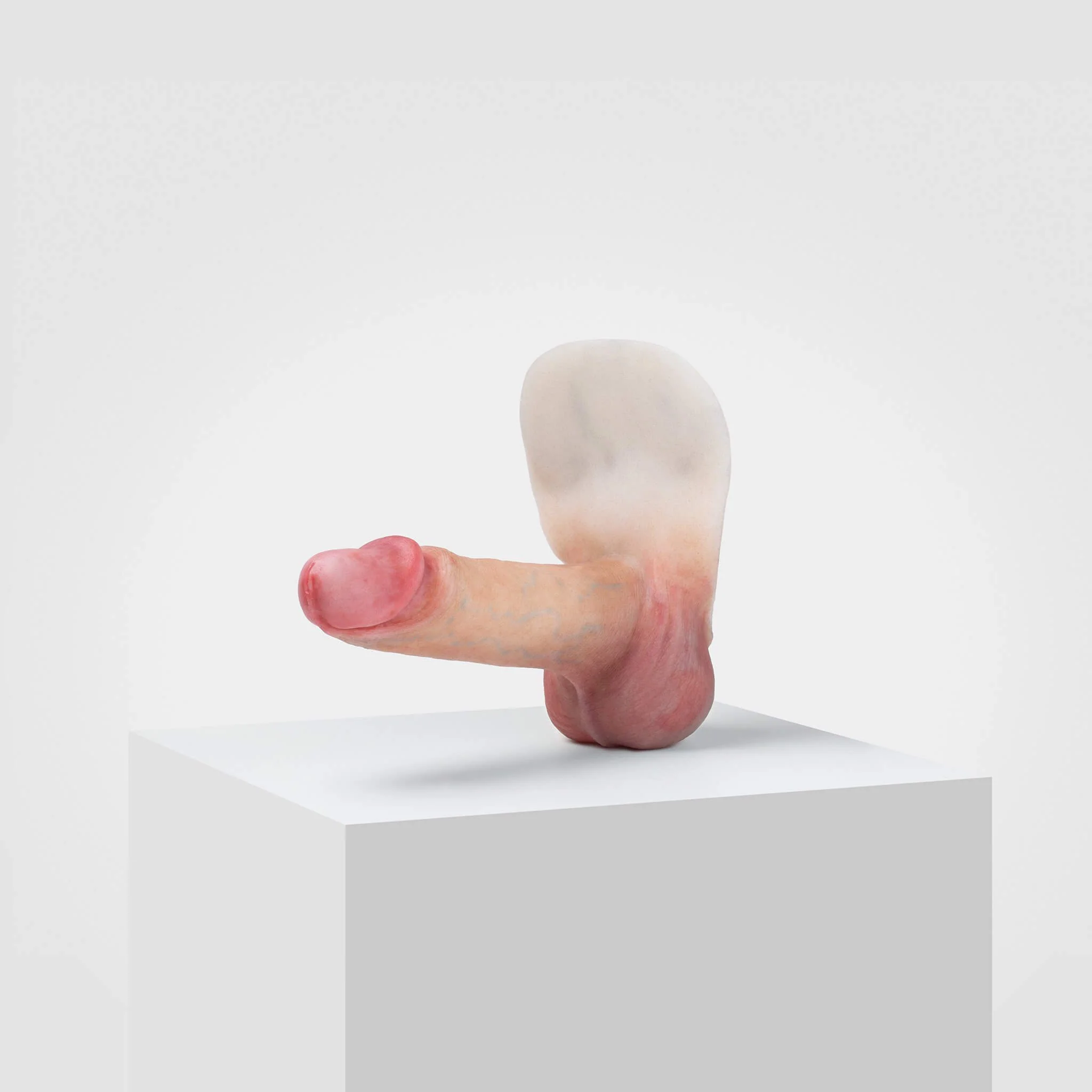 Emisil ER02 | Realistic FTM Pack & Play Model - Image 12