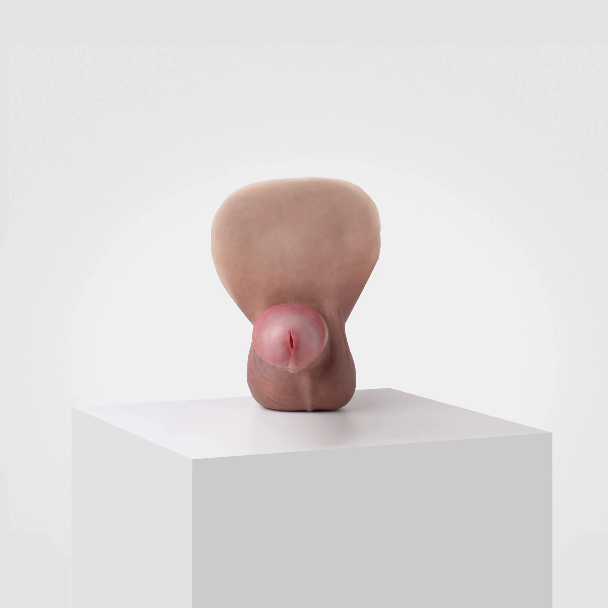 Emisil ER02 | Realistic FTM Pack & Play Model - Image 3