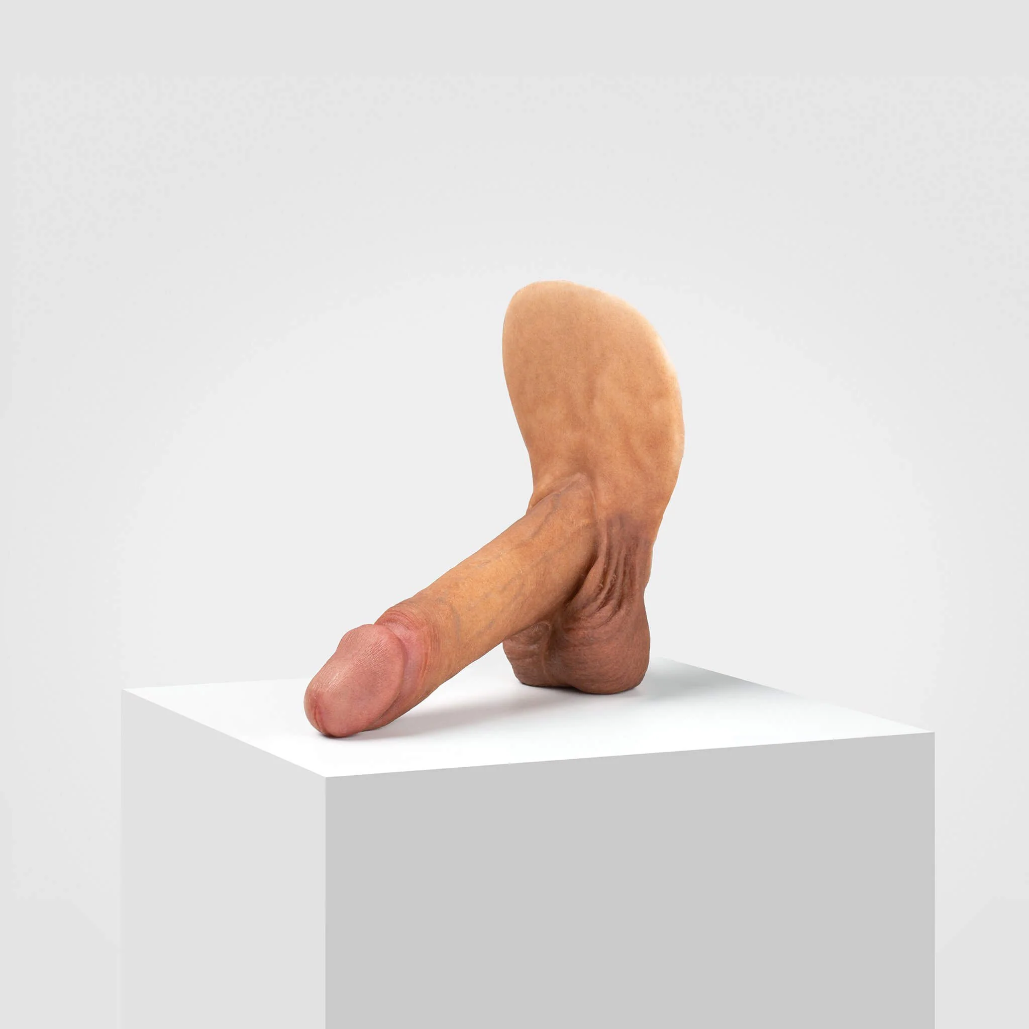 Emisil ER01 | Realistic Anatomical Pack & Play Model - Image 24