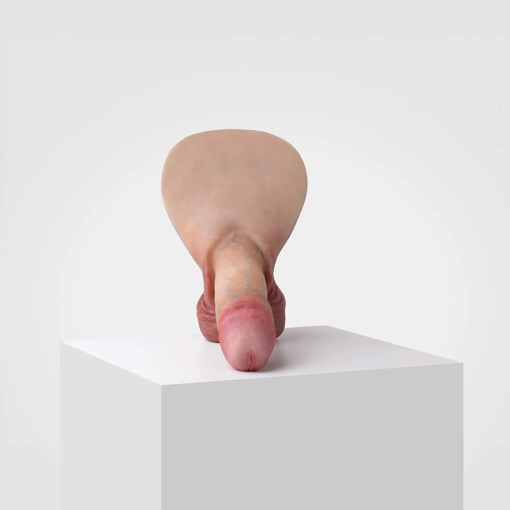 Emisil ER01 | Realistic Anatomical Pack & Play Model - Image 3