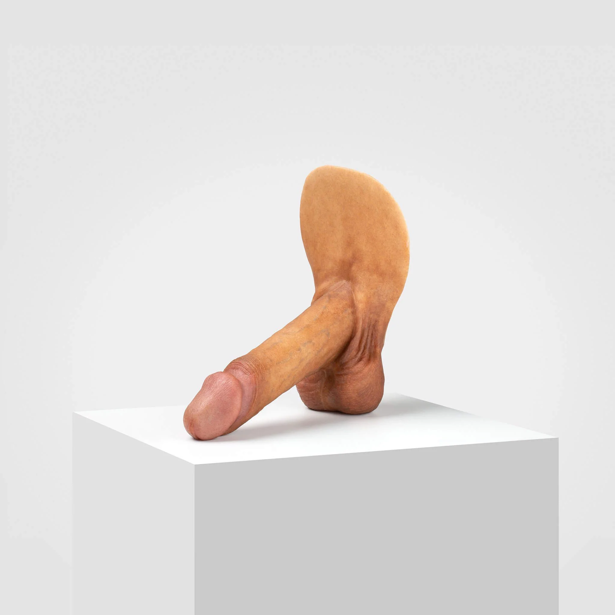 Emisil ER01 | Realistic Anatomical Pack & Play Model - Image 30
