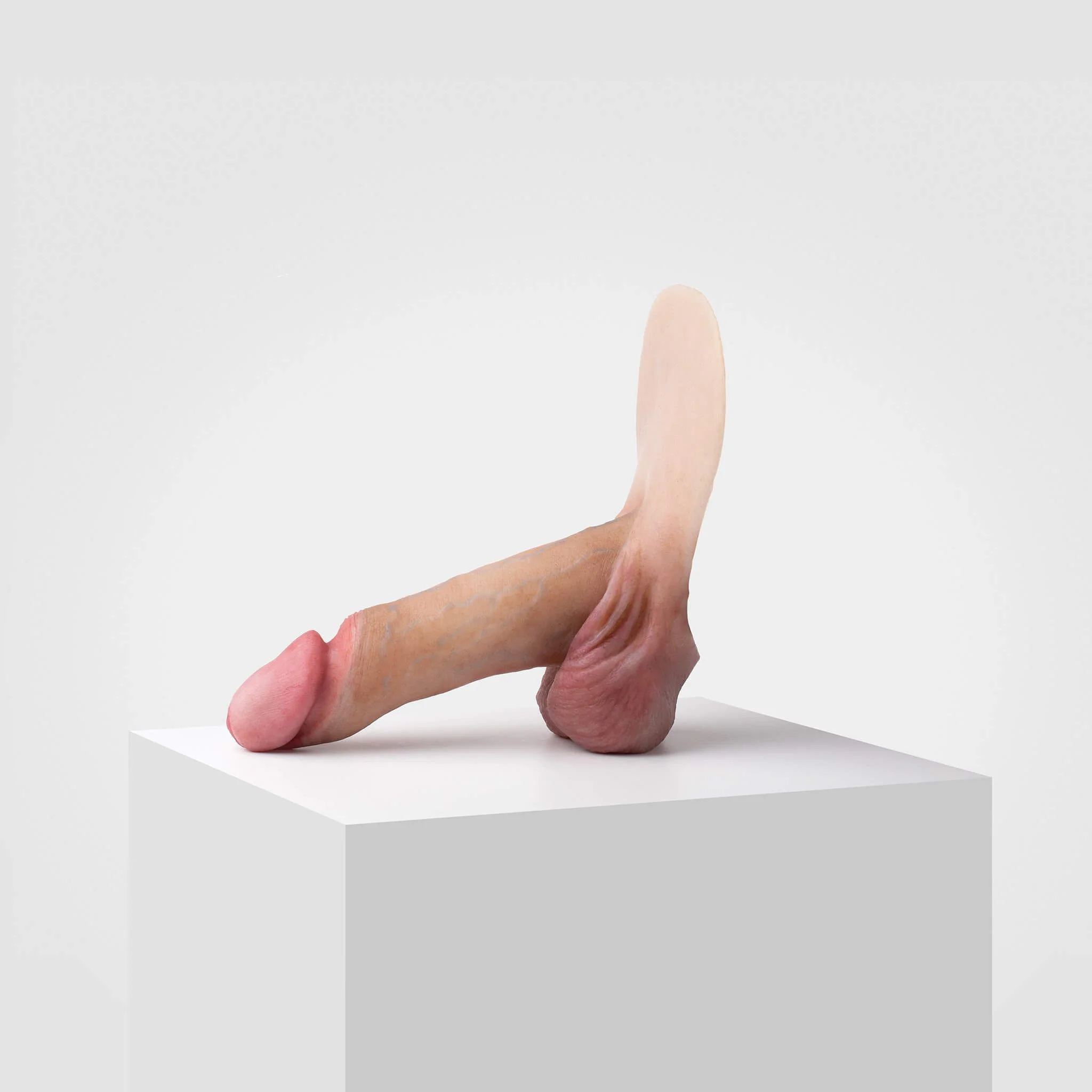 Emisil ER01 | Realistic Anatomical Pack & Play Model - Image 4