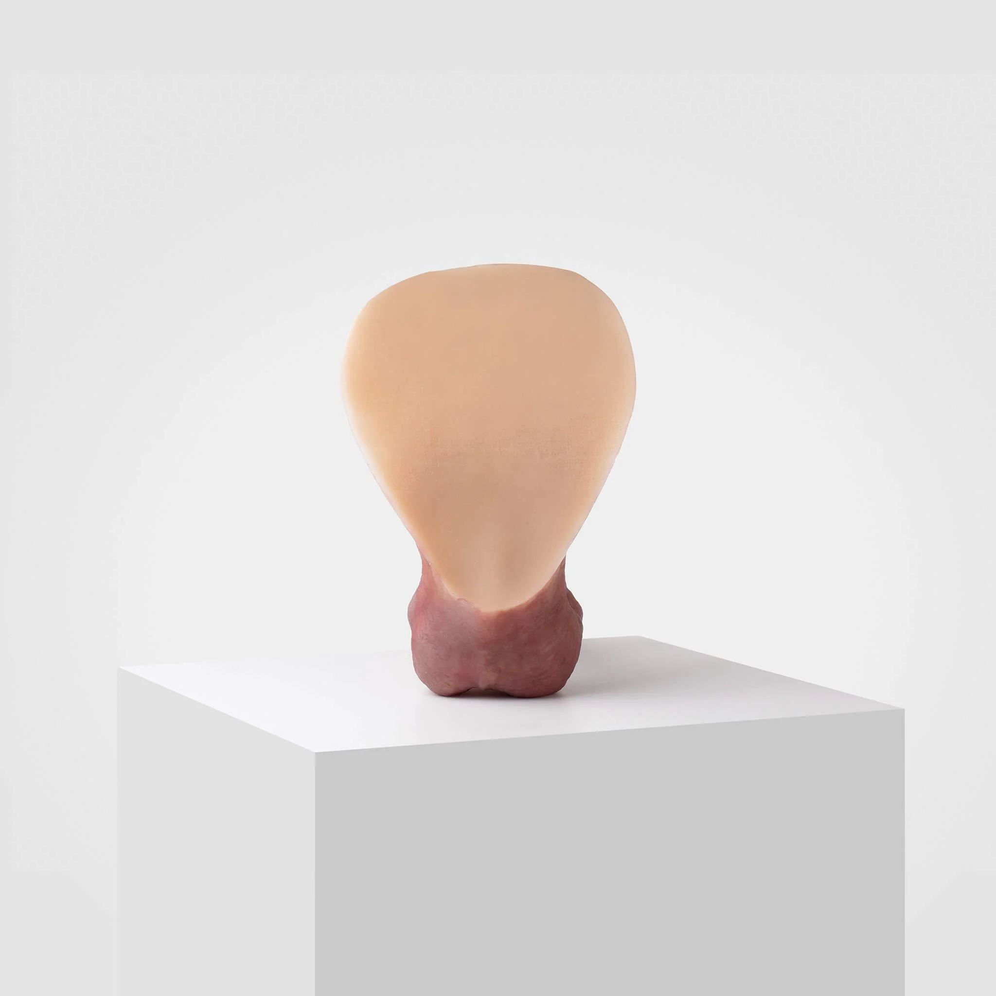 Emisil ER01 | Realistic Anatomical Pack & Play Model - Image 5