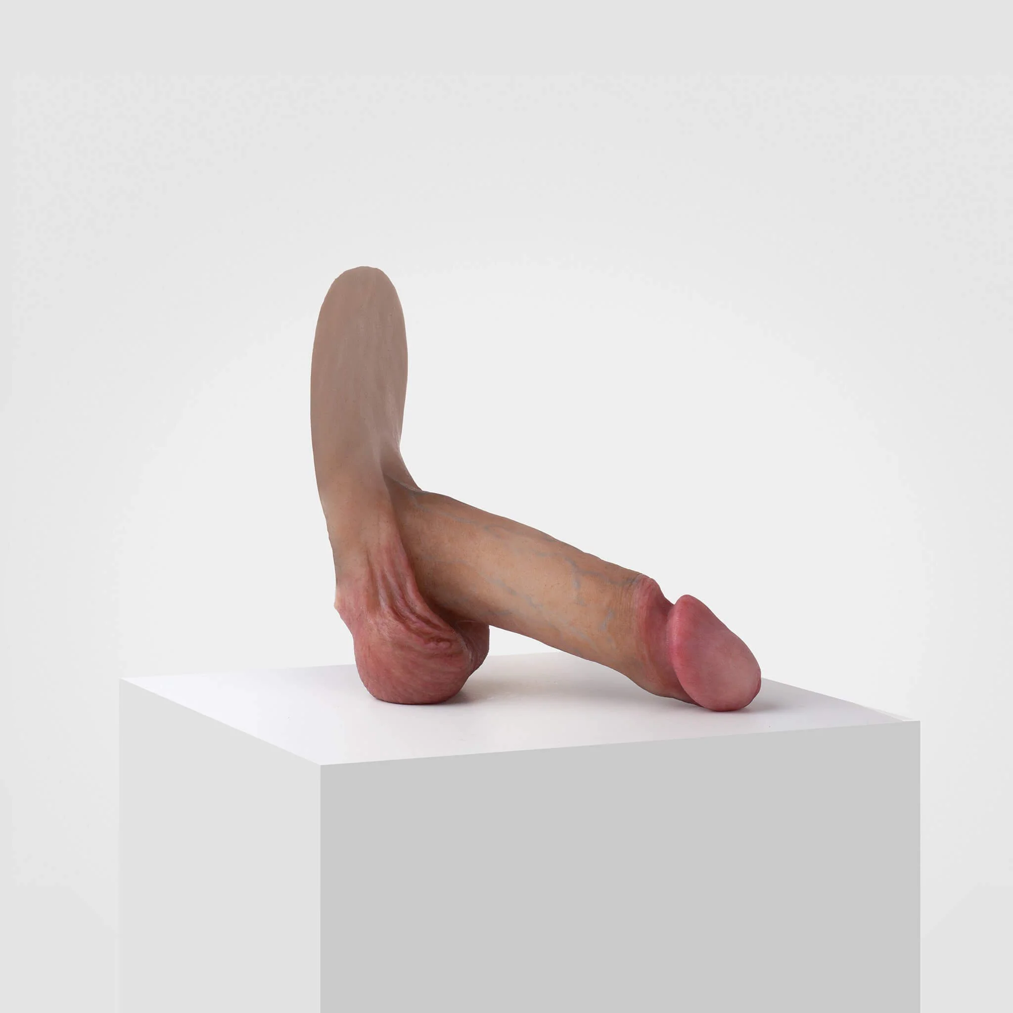 Emisil ER01 | Realistic Anatomical Pack & Play Model - Image 6