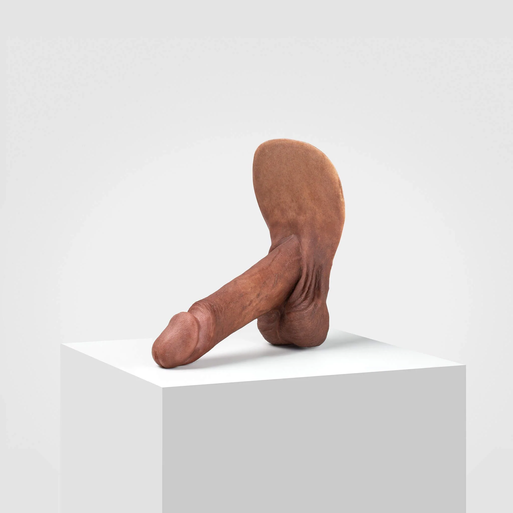 Emisil ER01 | Realistic Anatomical Pack & Play Model - Image 68