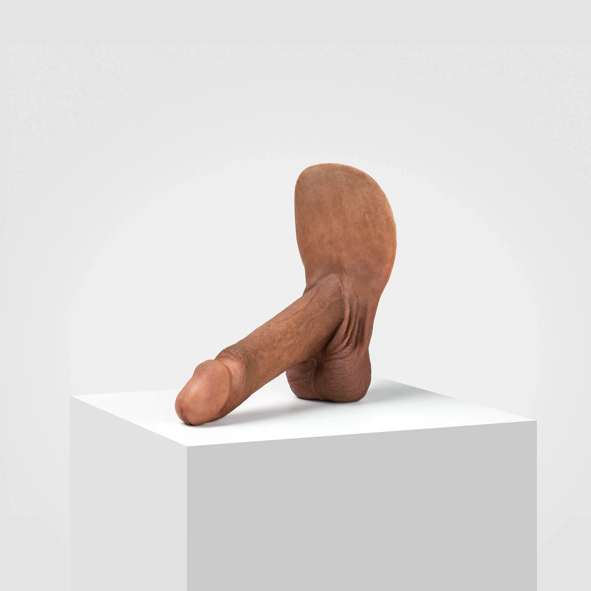 Emisil ER01 | Realistic Anatomical Pack & Play Model - Image 74