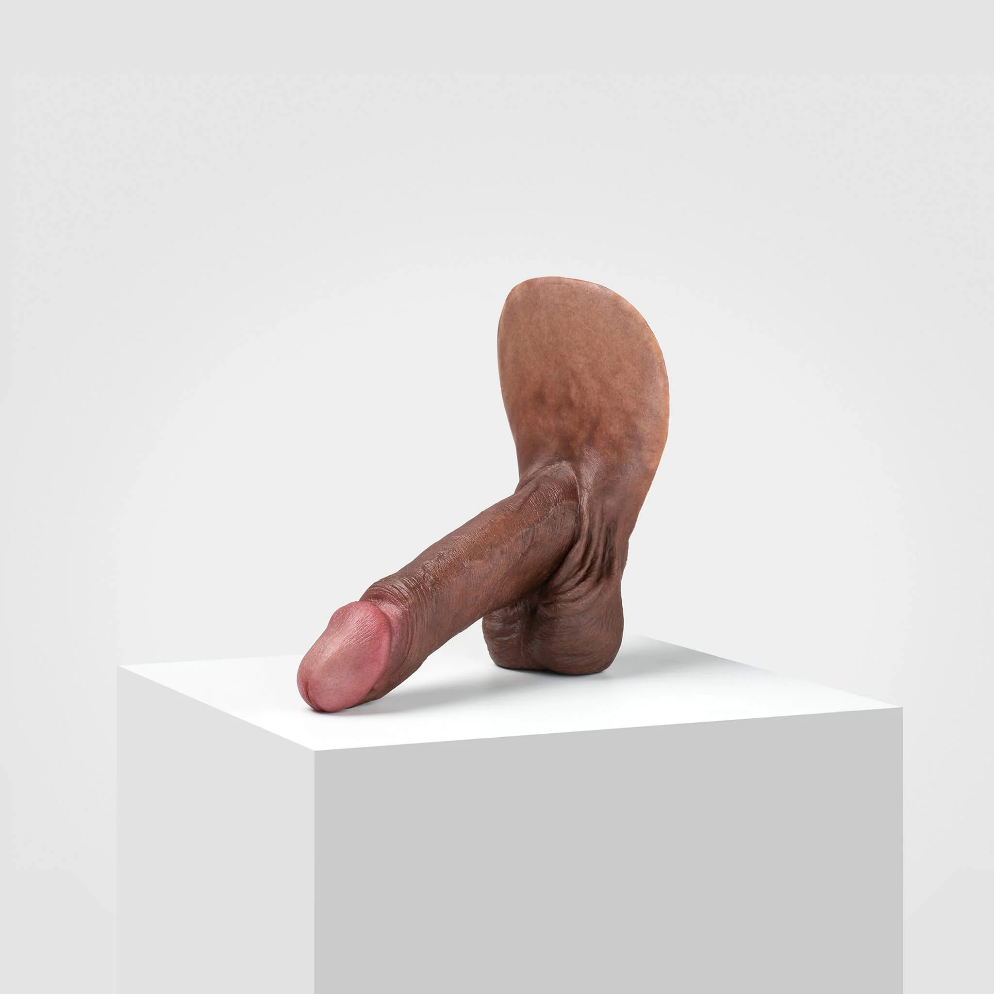 Emisil ER01 | Realistic Anatomical Pack & Play Model - Image 80
