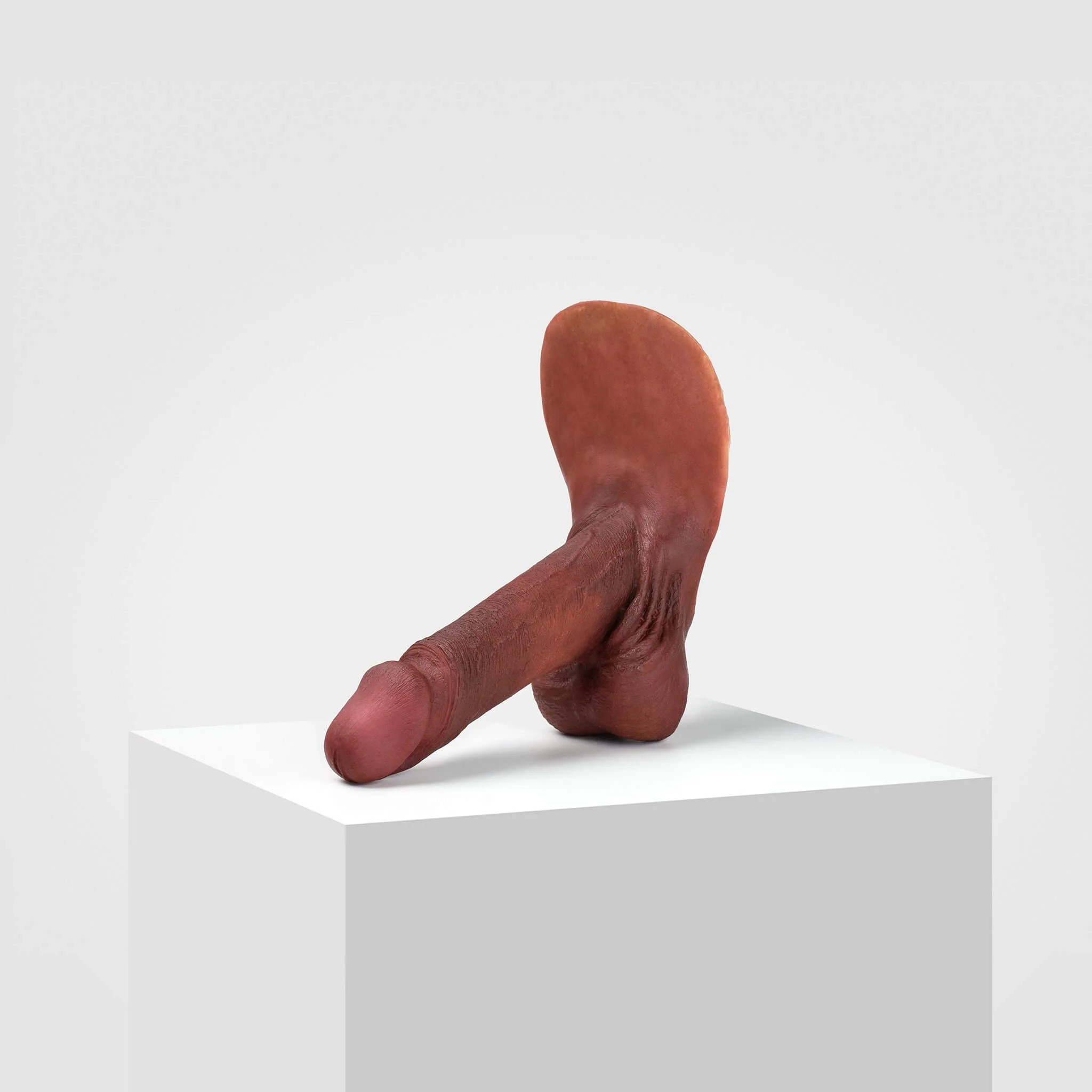 Emisil ER01 | Realistic Anatomical Pack & Play Model - Image 92