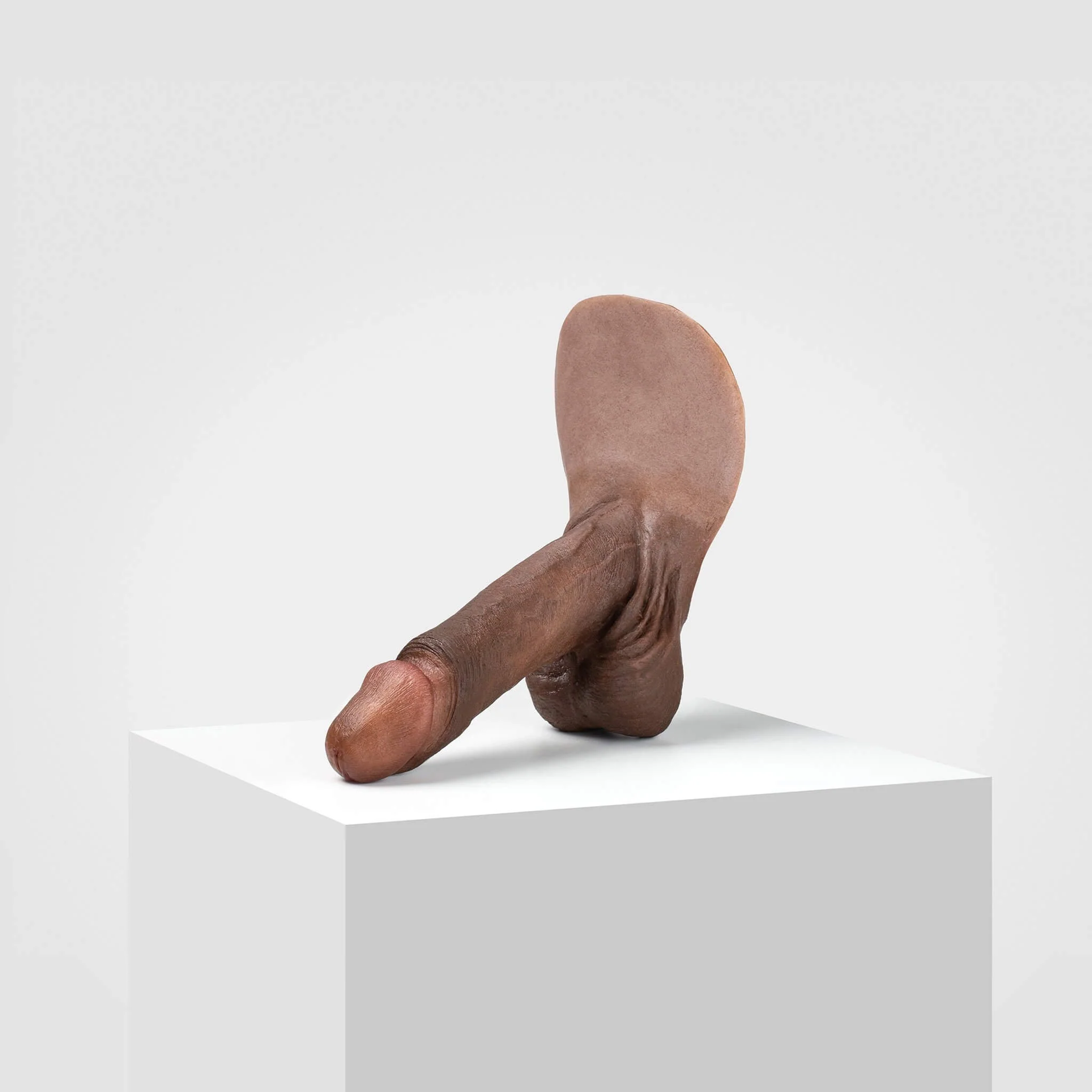 Emisil ER01 | Realistic Anatomical Pack & Play Model - Image 98