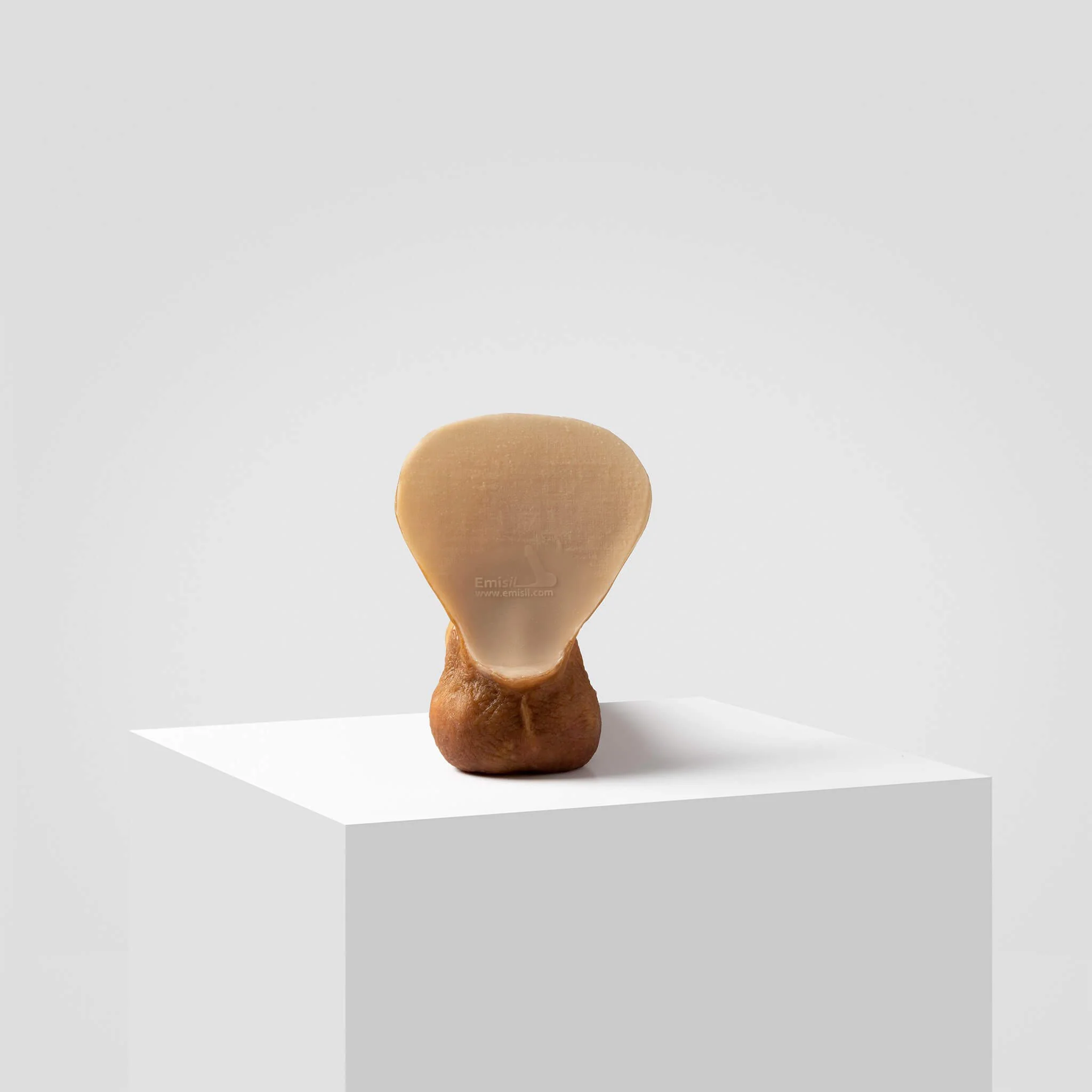Emisil ER08 | Artist Edition Pack & Play Model - Image 4
