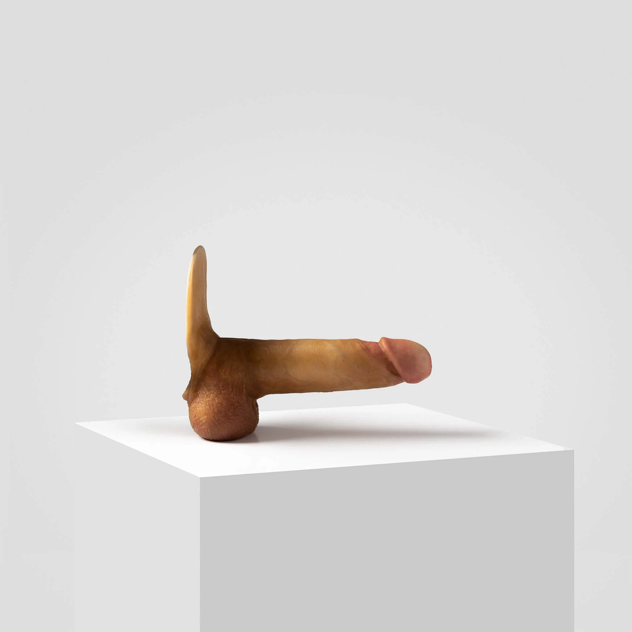 Emisil ER08 | Artist Edition Pack & Play Model - Image 5