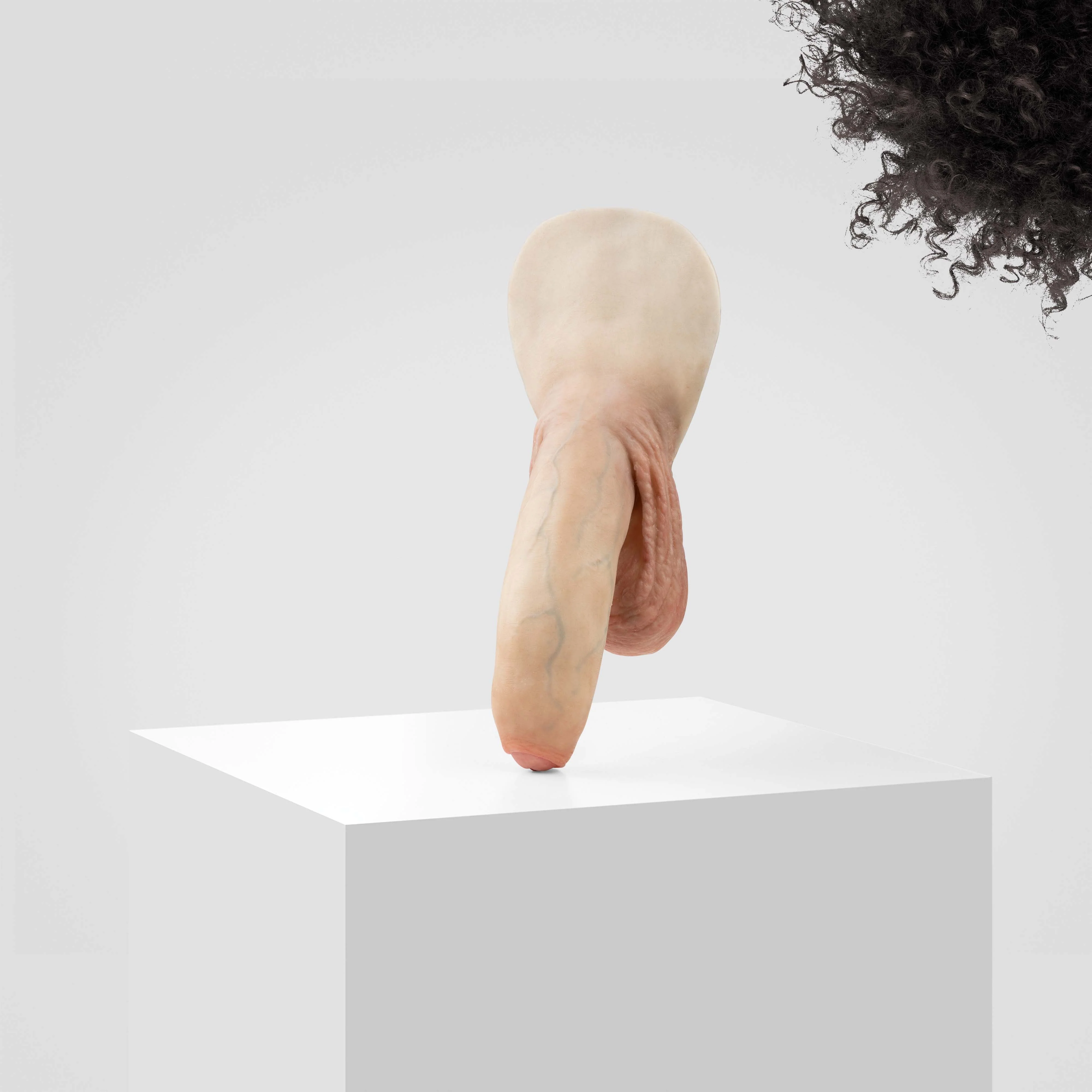 Emisil FL11 | Realistic Uncut FTM Packing Model - Image 103