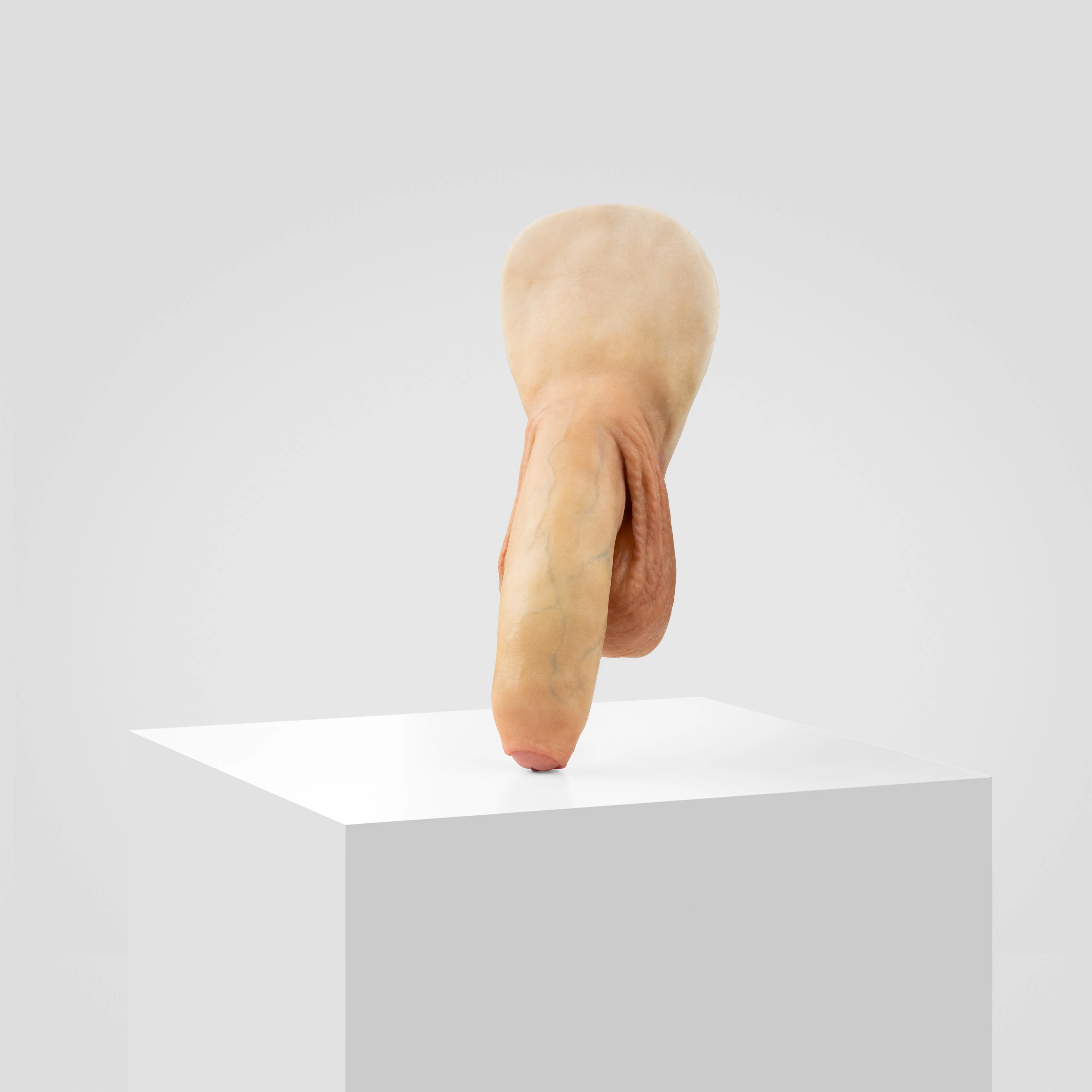 Emisil FL11 | Realistic Uncut FTM Packing Model - Image 108