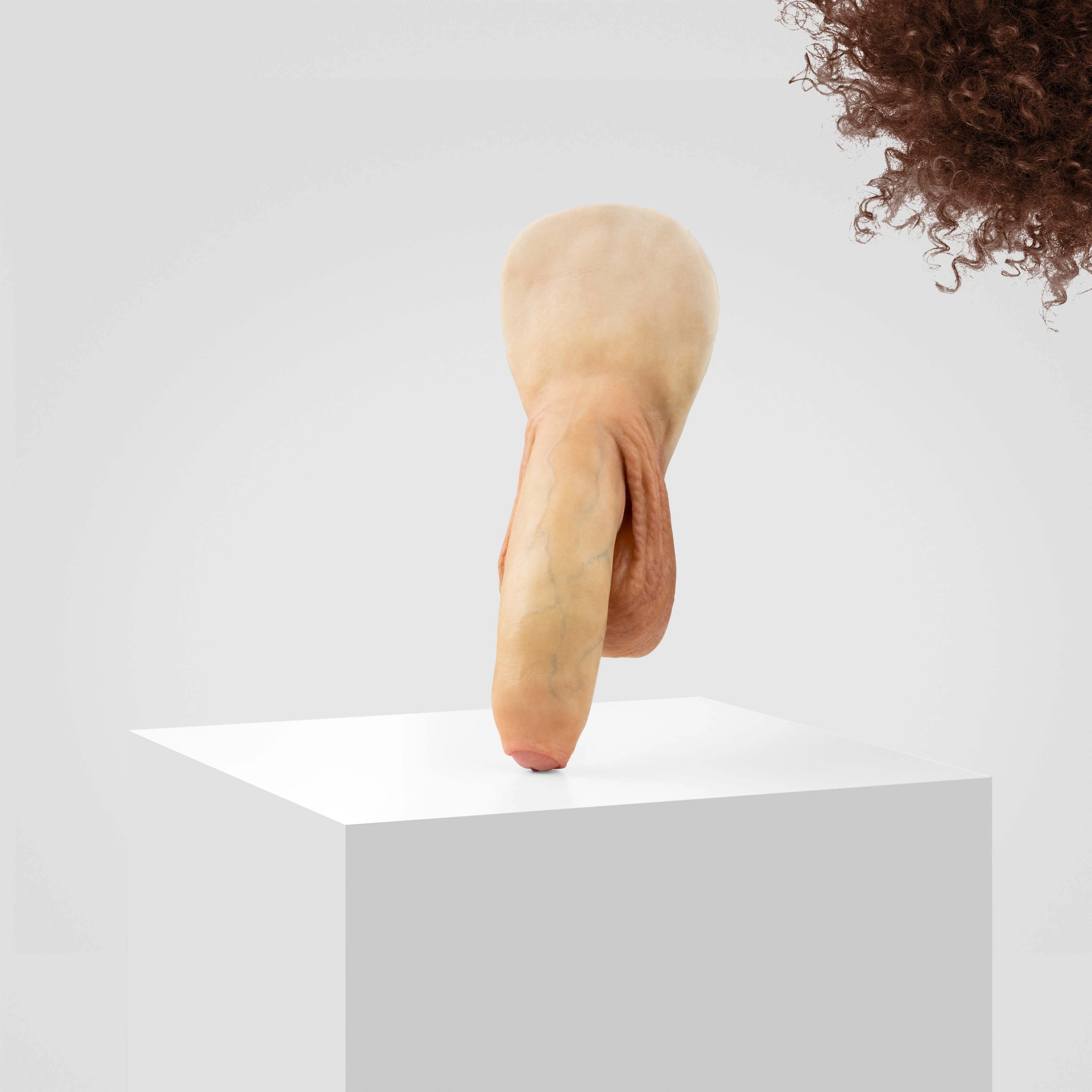 Emisil FL11 | Realistic Uncut FTM Packing Model - Image 111