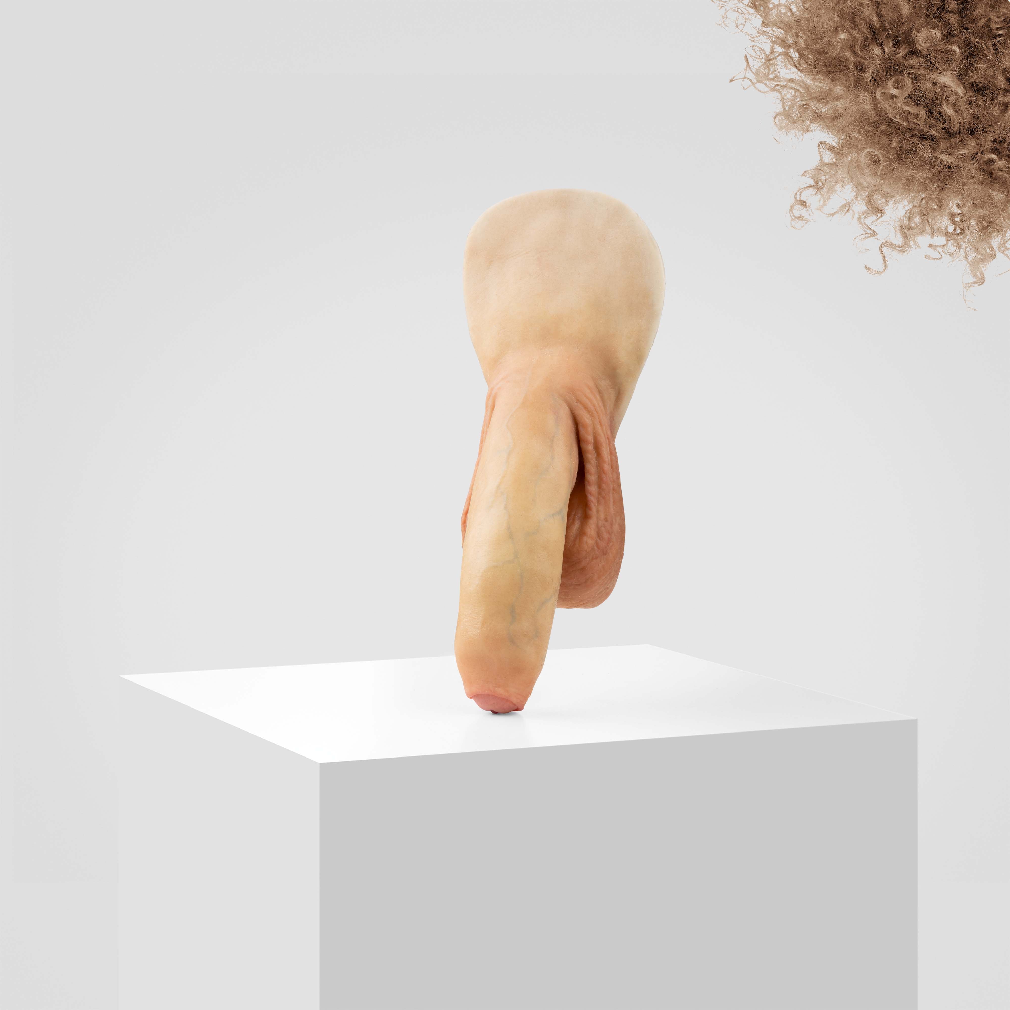 Emisil FL11 | Realistic Uncut FTM Packing Model - Image 112