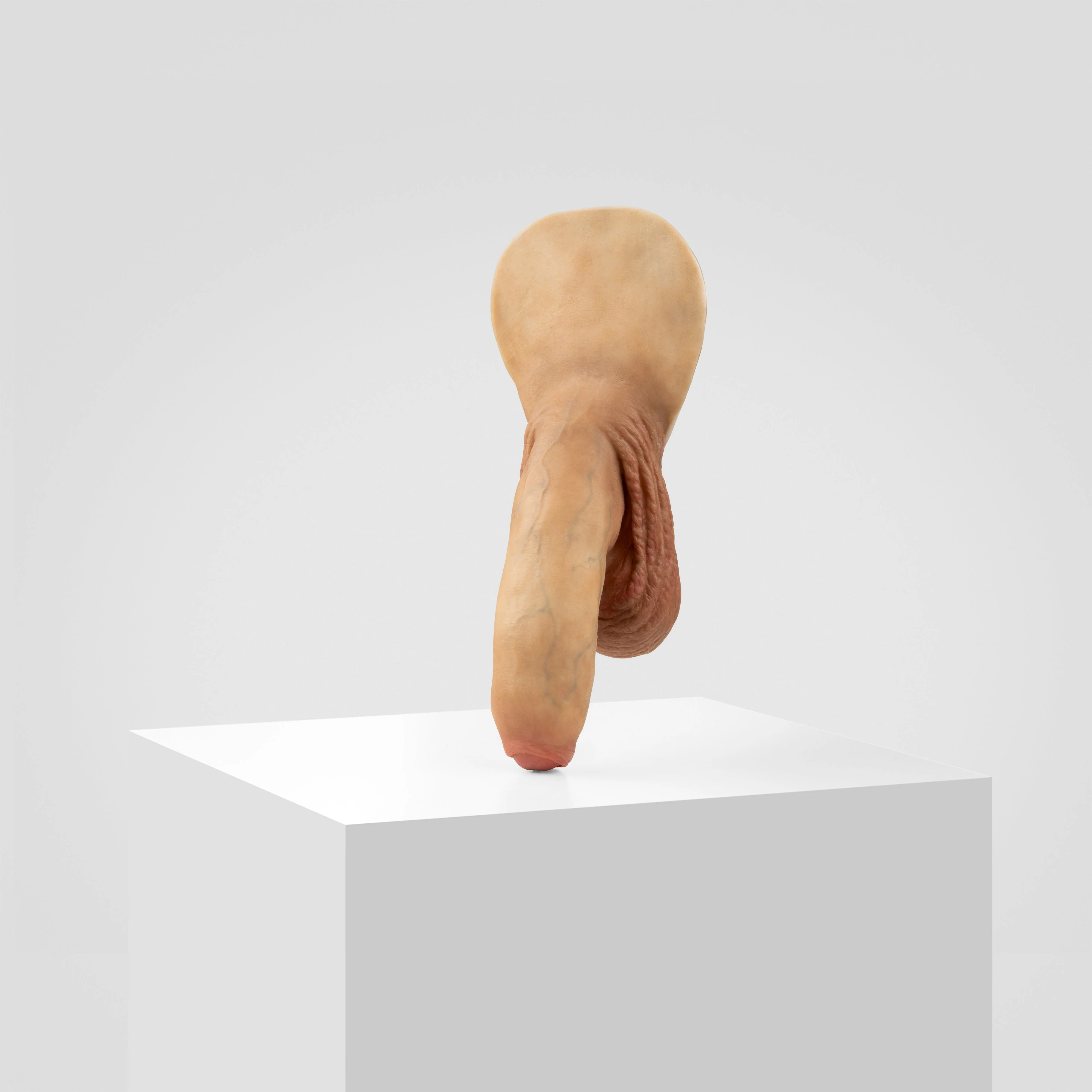 Emisil FL11 | Realistic Uncut FTM Packing Model - Image 114