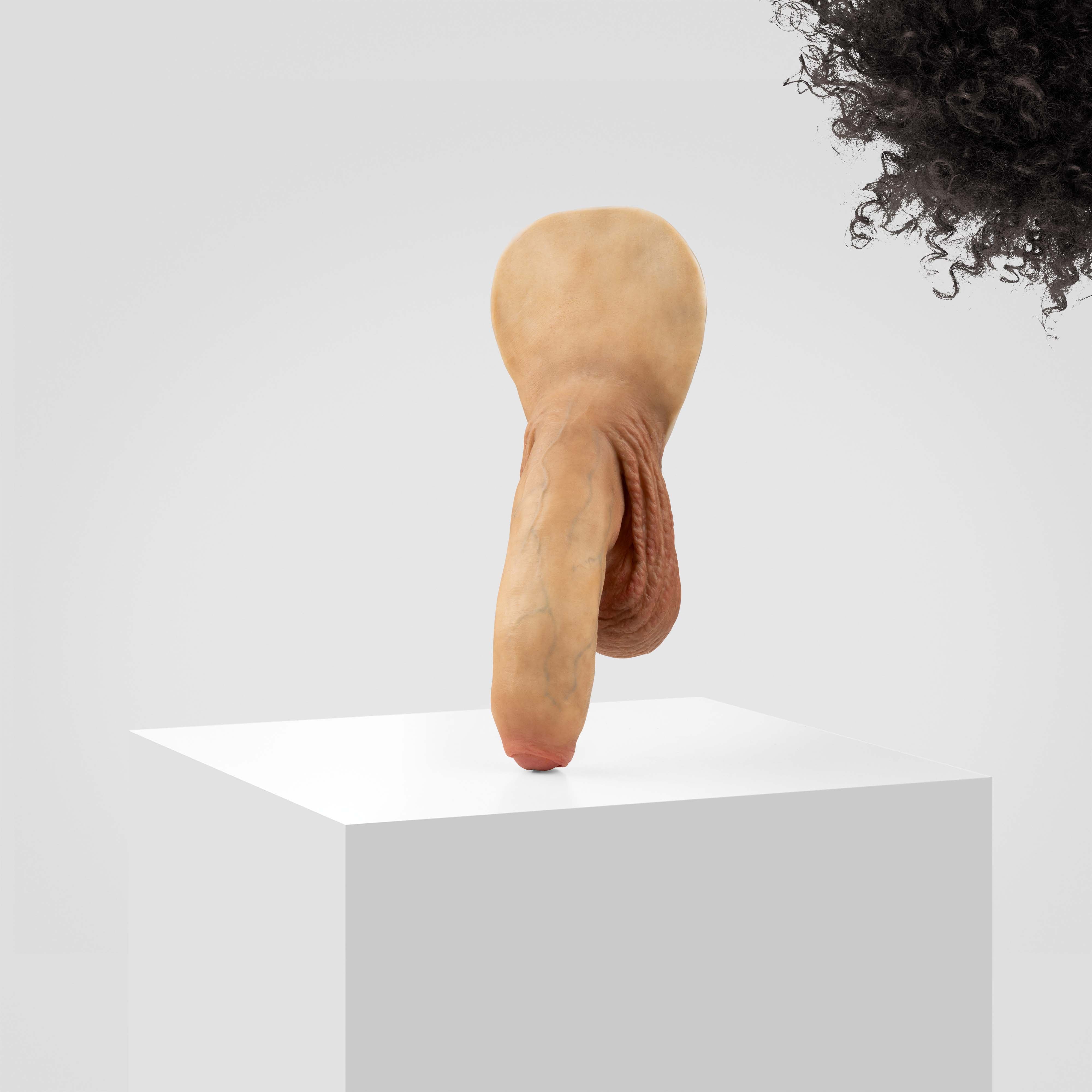 Emisil FL11 | Realistic Uncut FTM Packing Model - Image 115