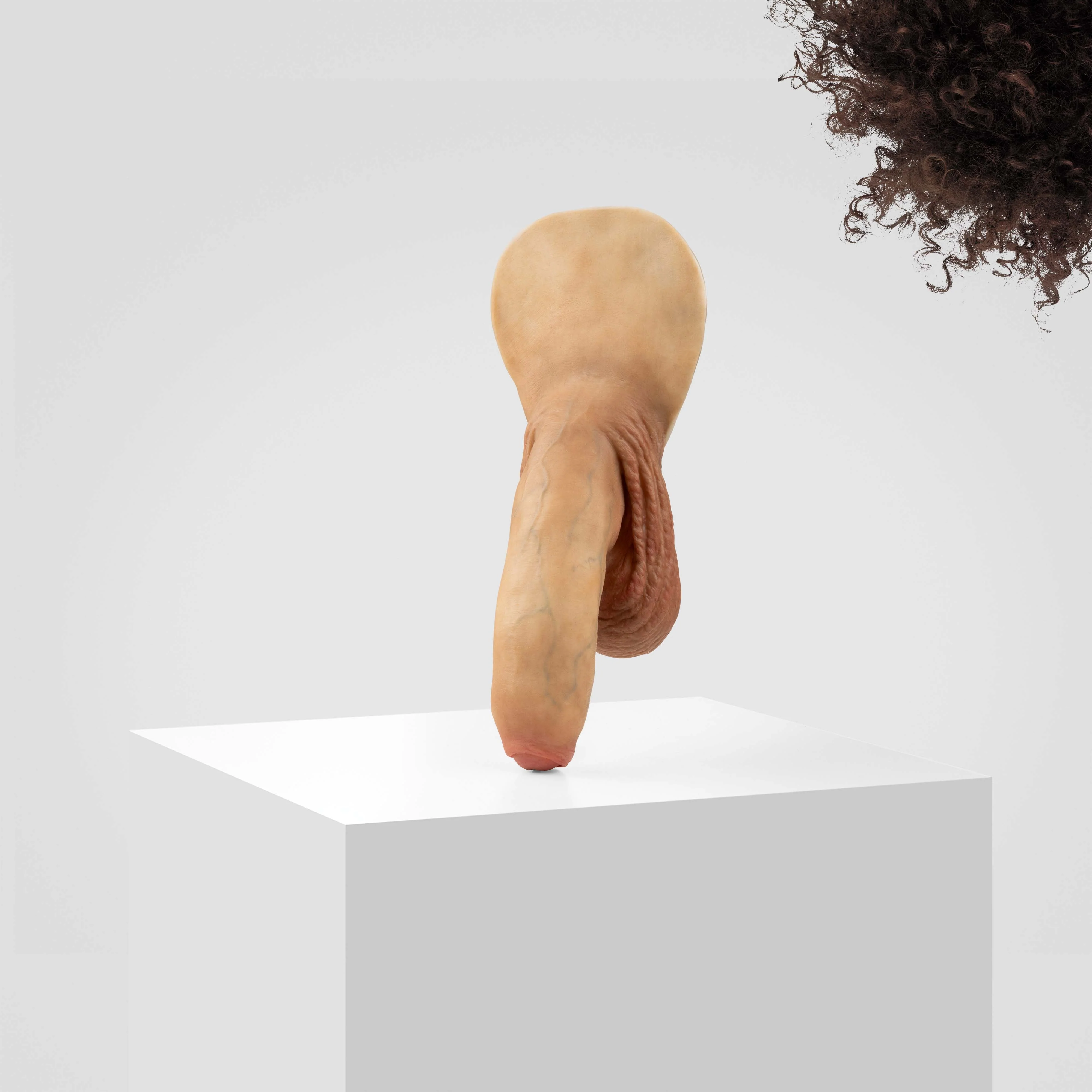 Emisil FL11 | Realistic Uncut FTM Packing Model - Image 117