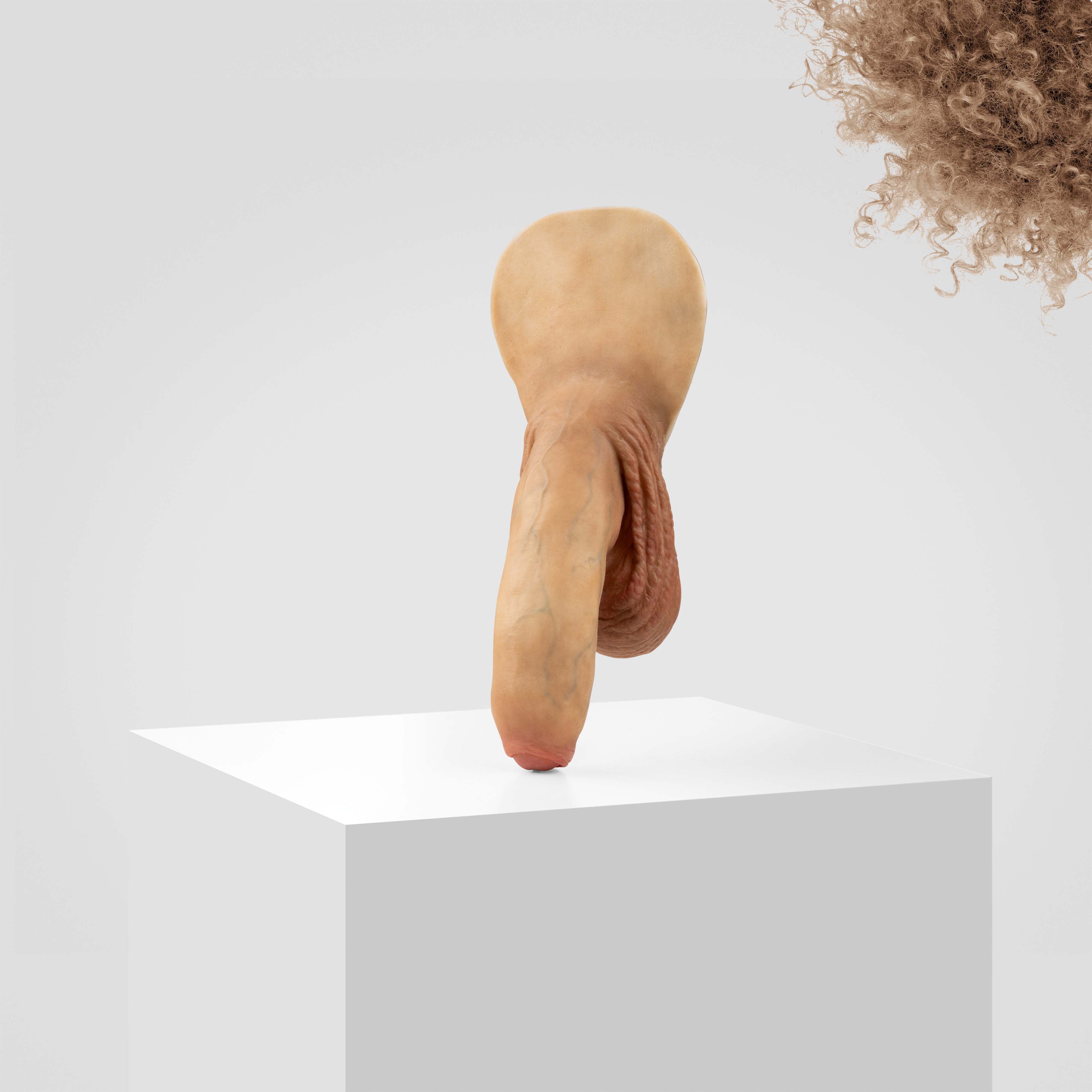 Emisil FL11 | Realistic Uncut FTM Packing Model - Image 118