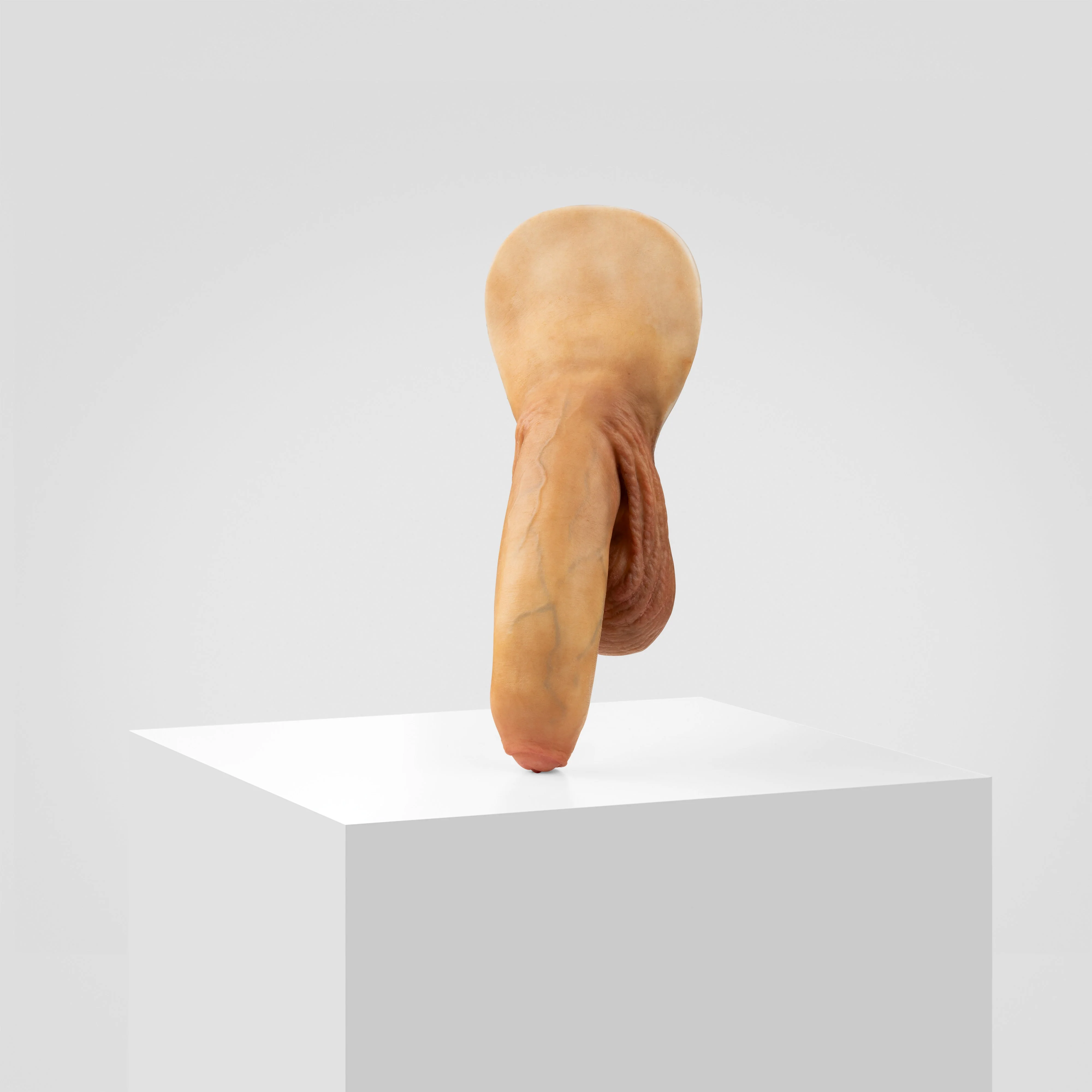 Emisil FL11 | Realistic Uncut FTM Packing Model - Image 120