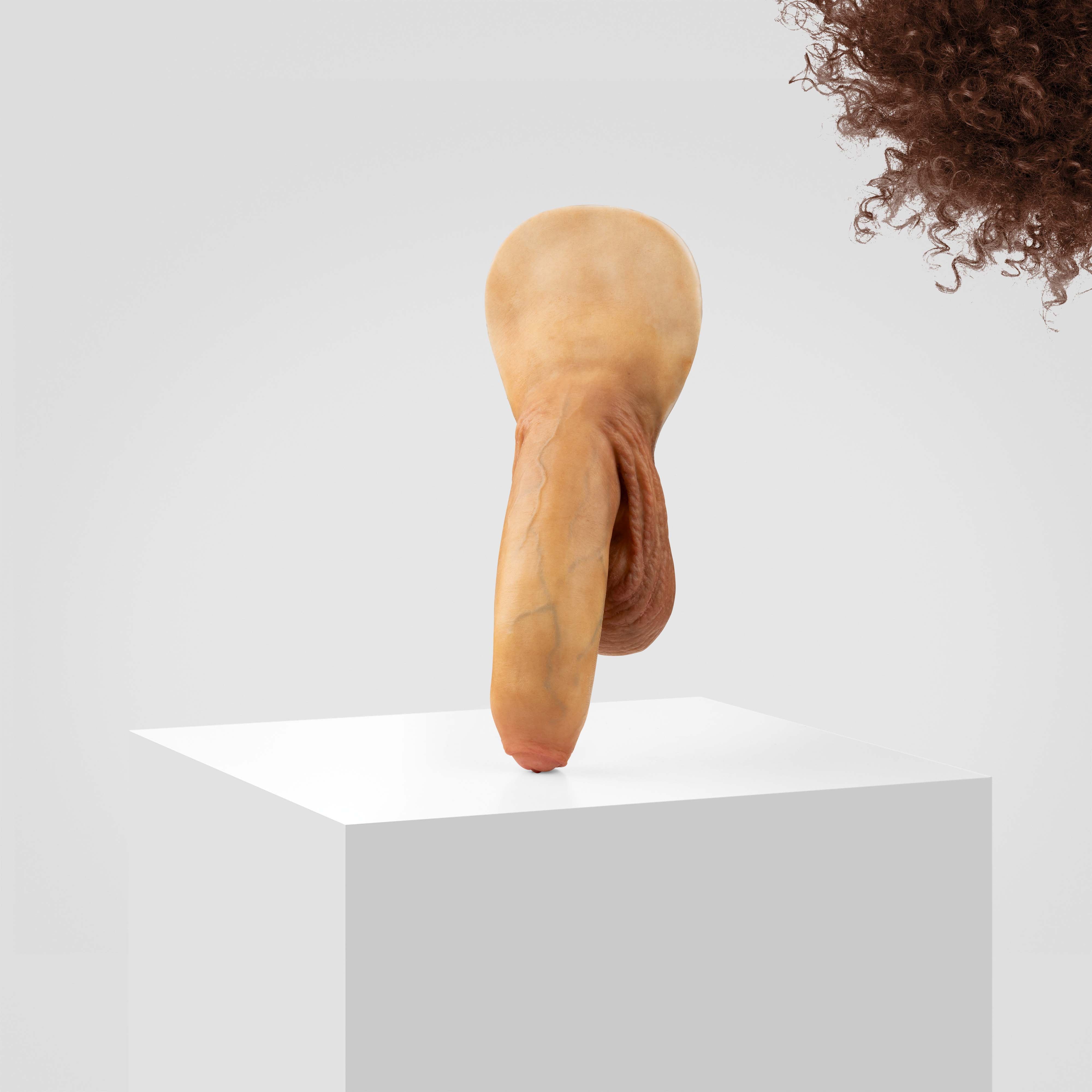 Emisil FL11 | Realistic Uncut FTM Packing Model - Image 123