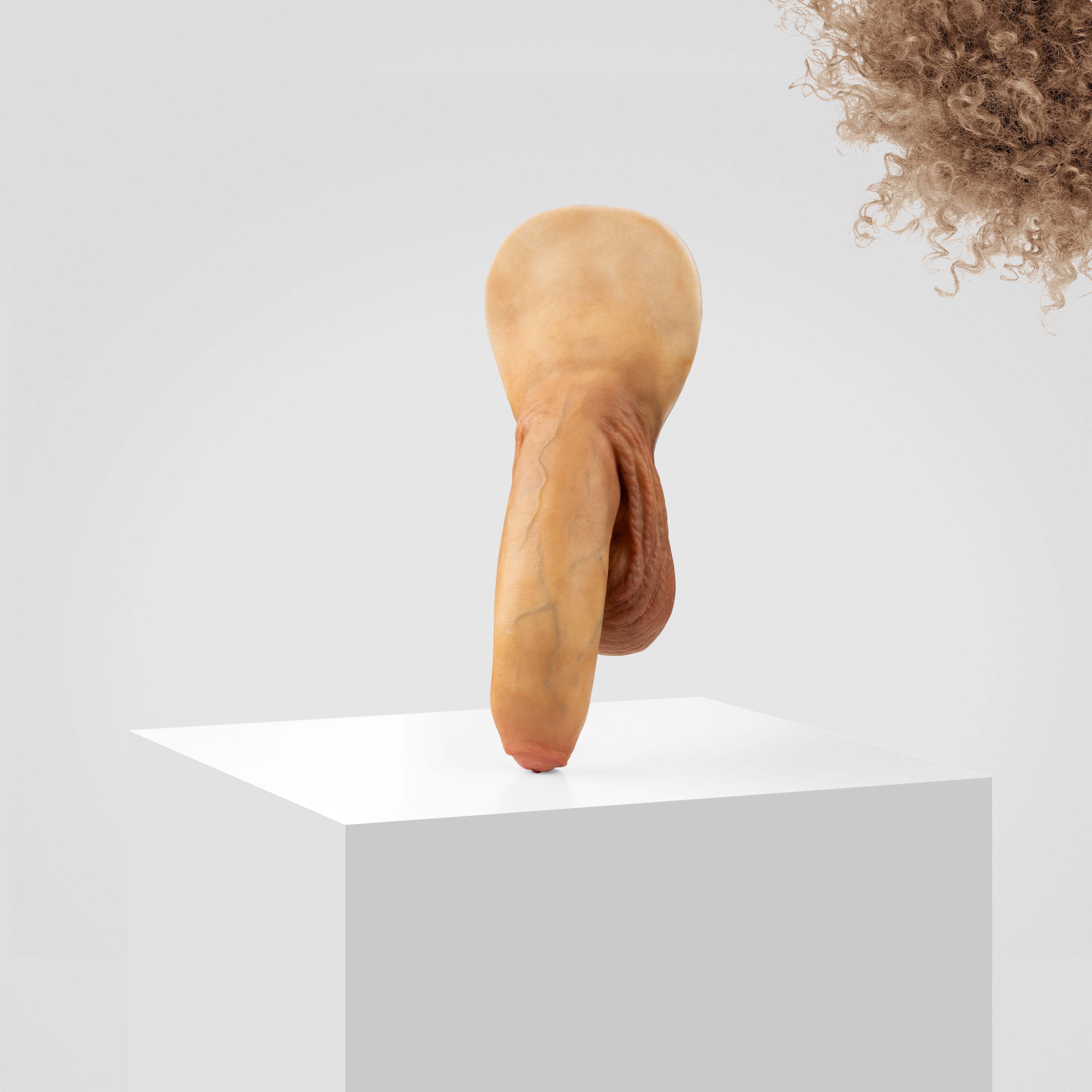 Emisil FL11 | Realistic Uncut FTM Packing Model - Image 124