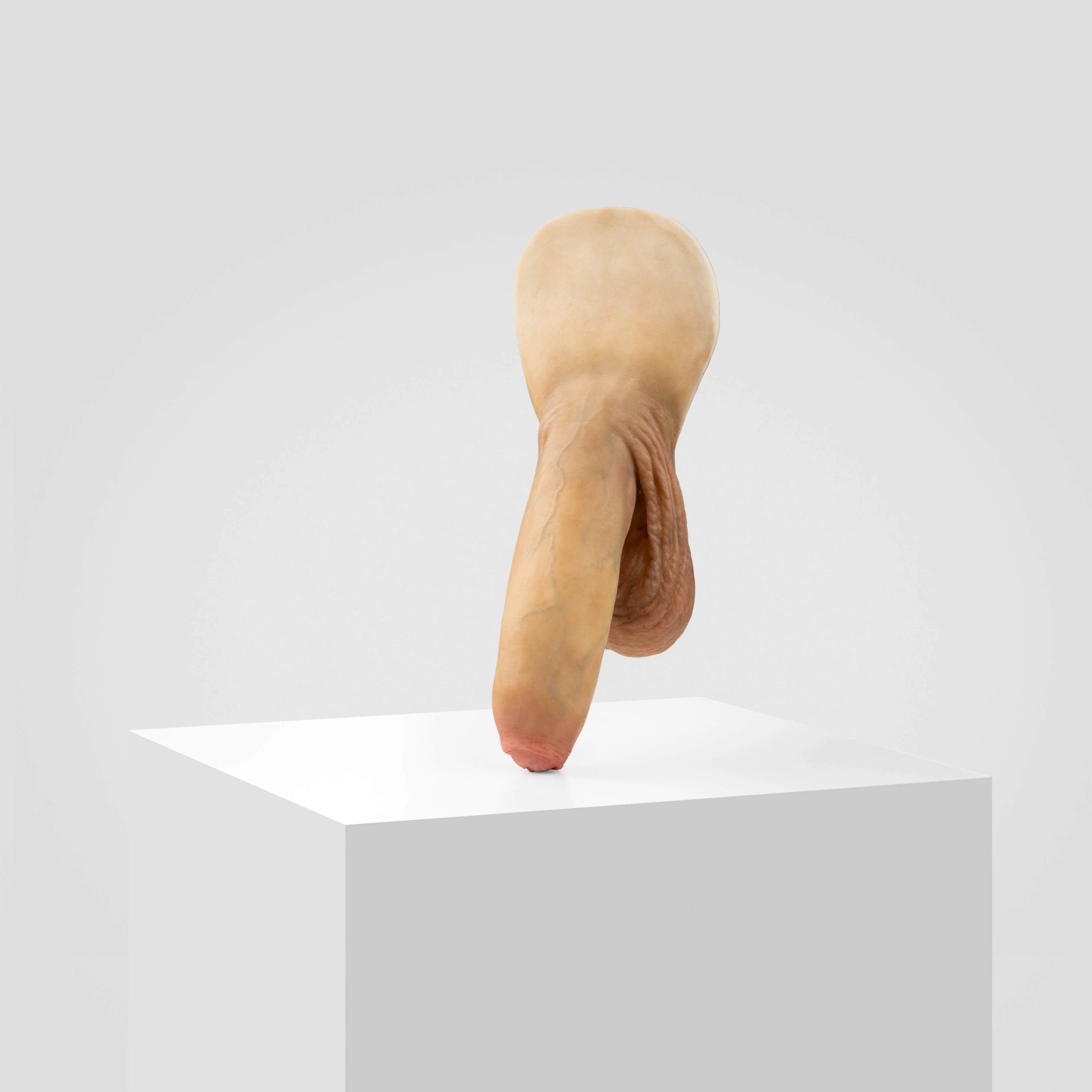 Emisil FL11 | Realistic Uncut FTM Packing Model - Image 126