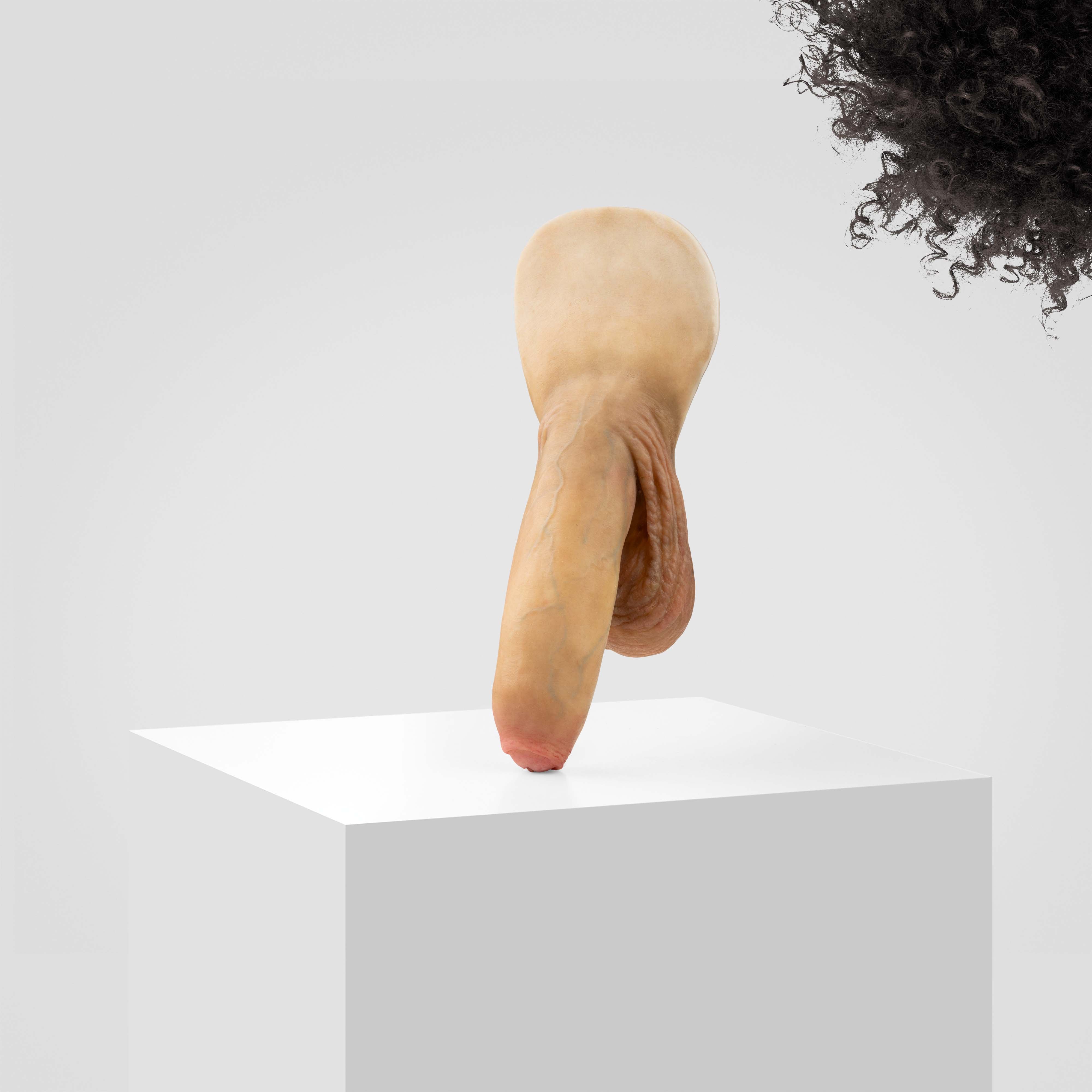 Emisil FL11 | Realistic Uncut FTM Packing Model - Image 127