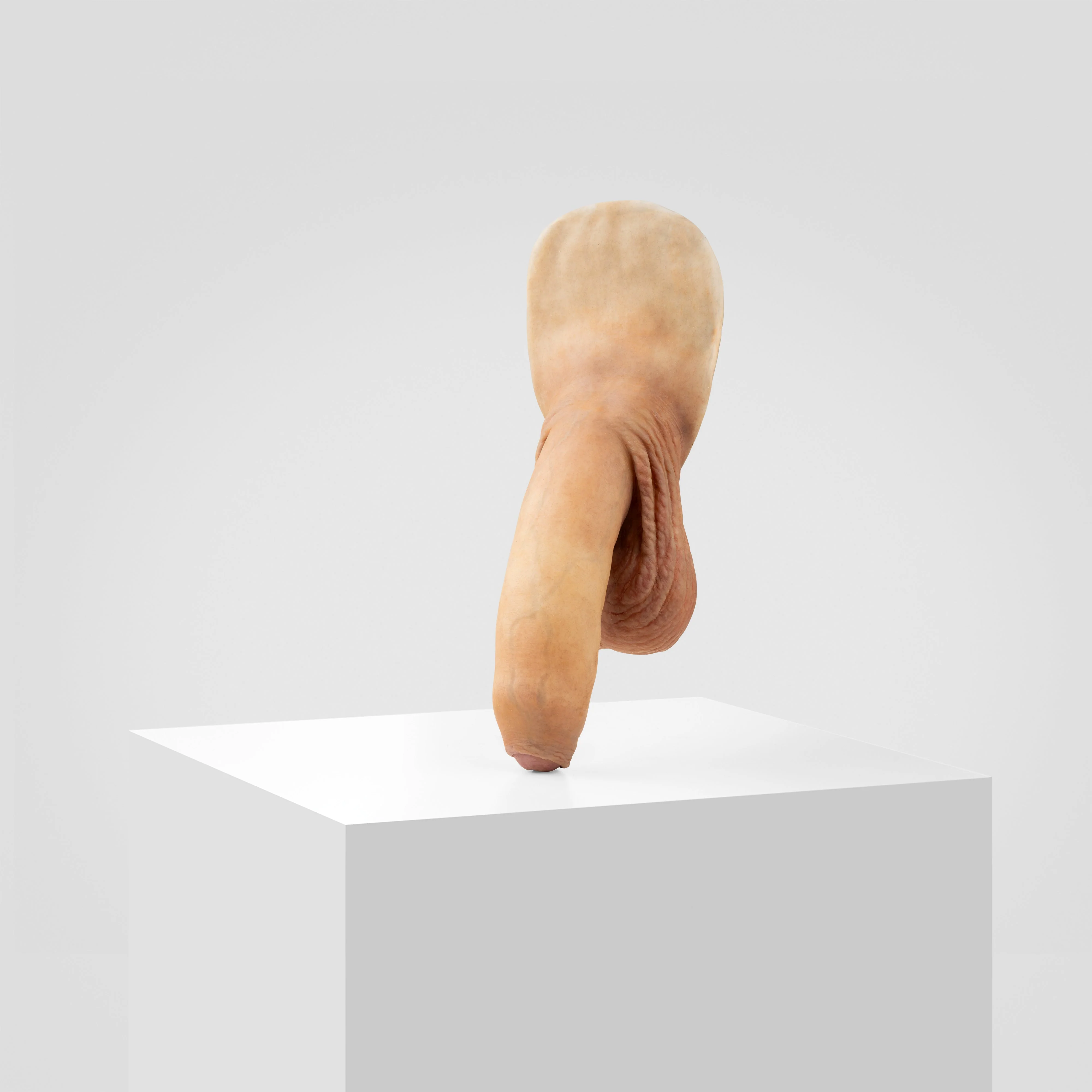 Emisil FL11 | Realistic Uncut FTM Packing Model - Image 132