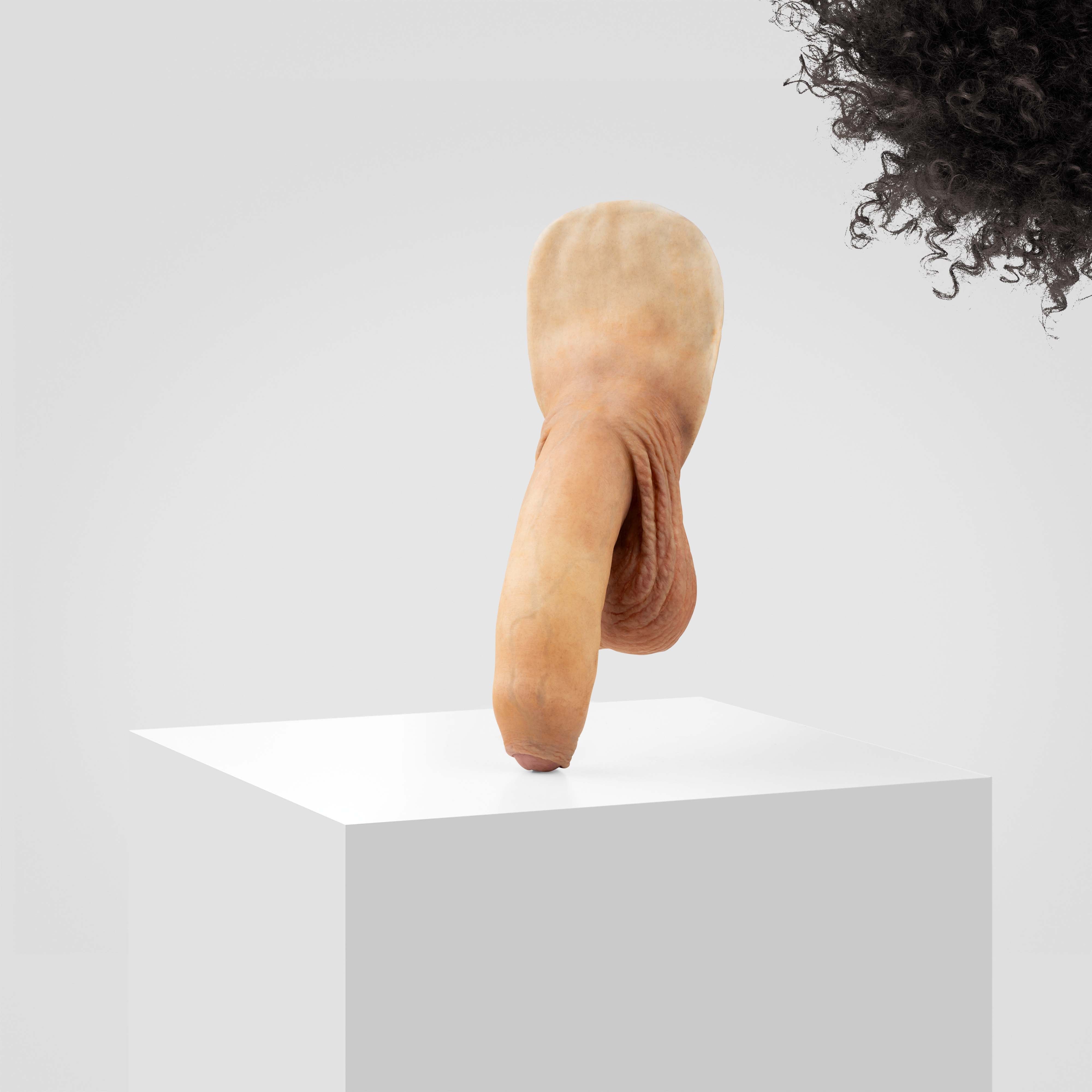 Emisil FL11 | Realistic Uncut FTM Packing Model - Image 133