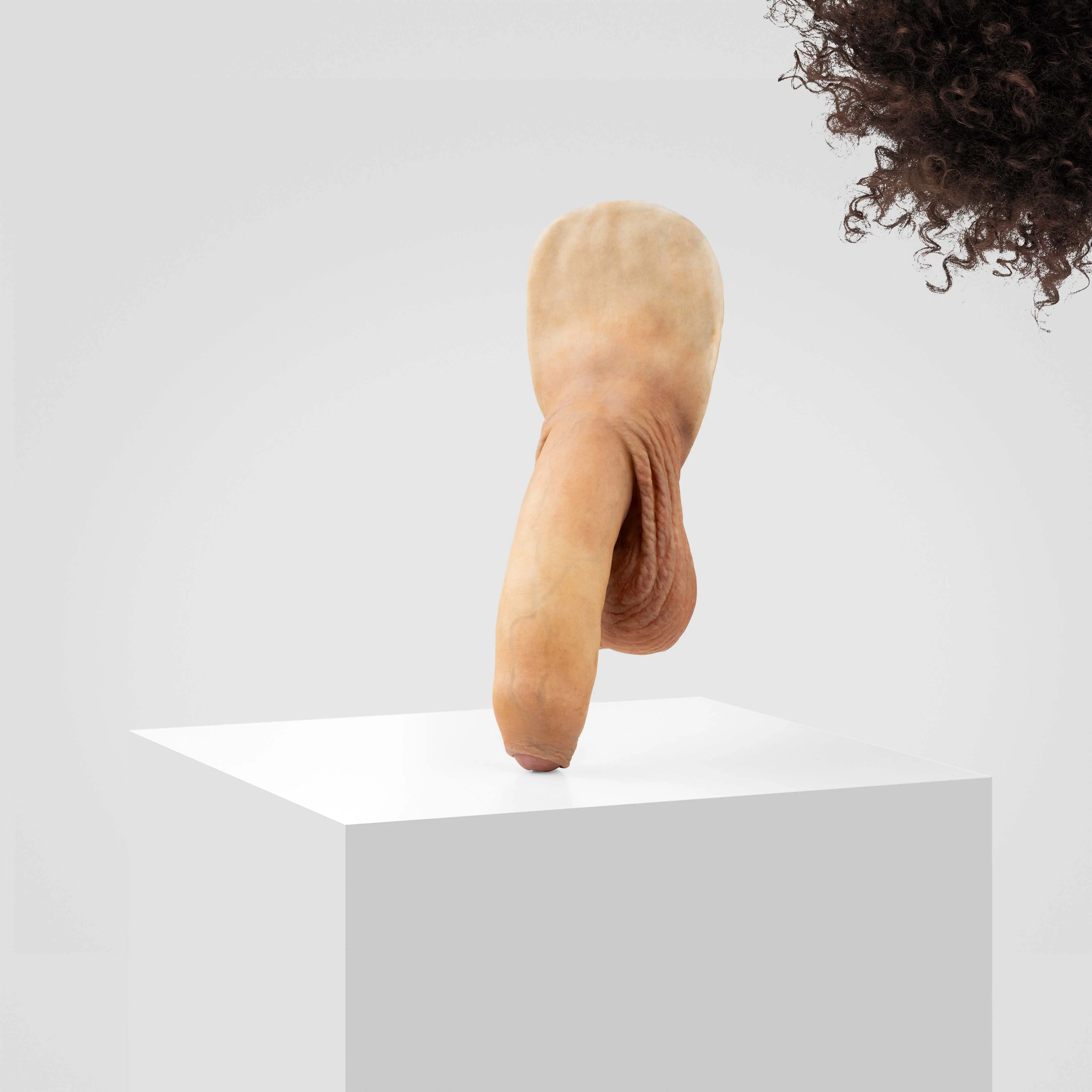 Emisil FL11 | Realistic Uncut FTM Packing Model - Image 134