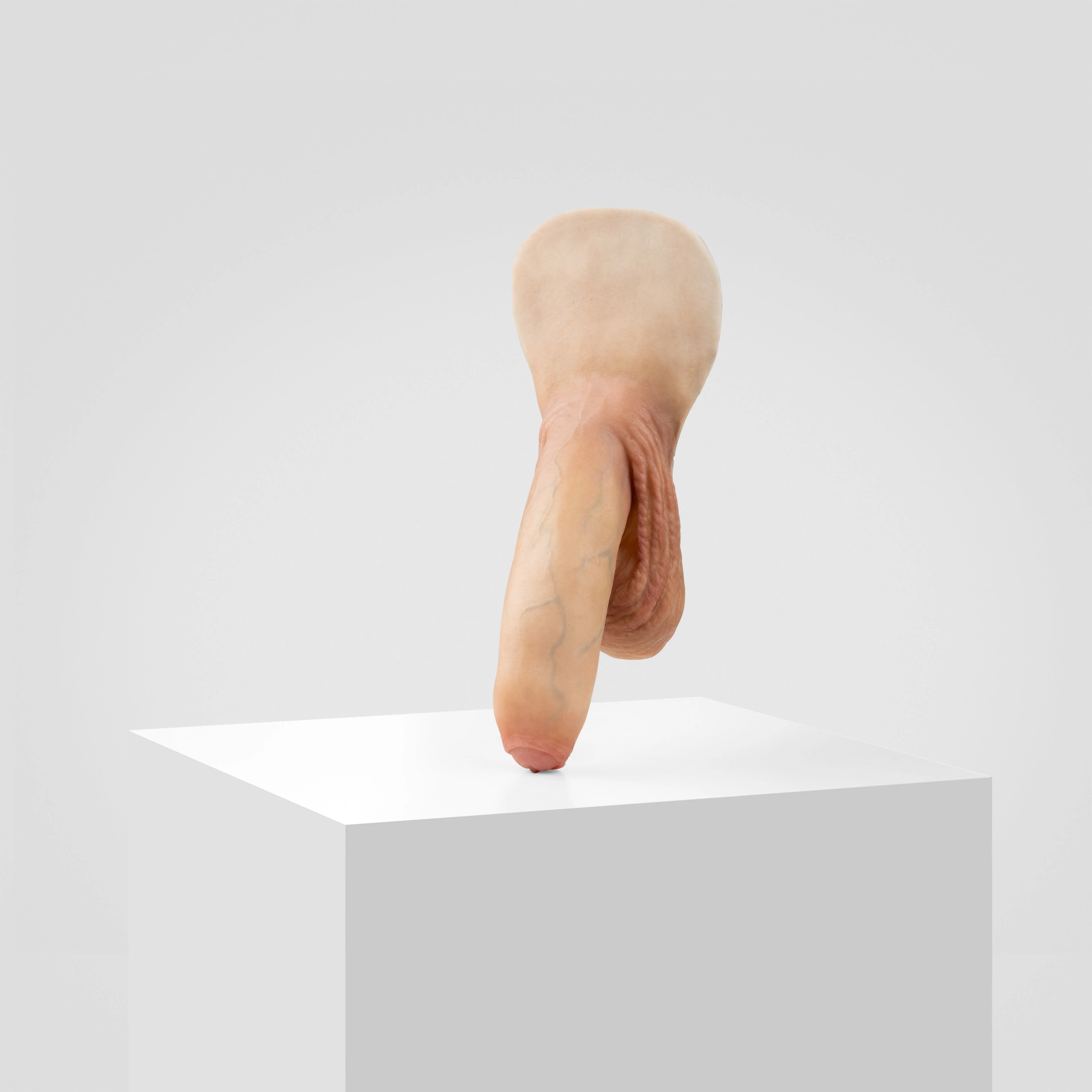Emisil FL11 | Realistic Uncut FTM Packing Model - Image 144