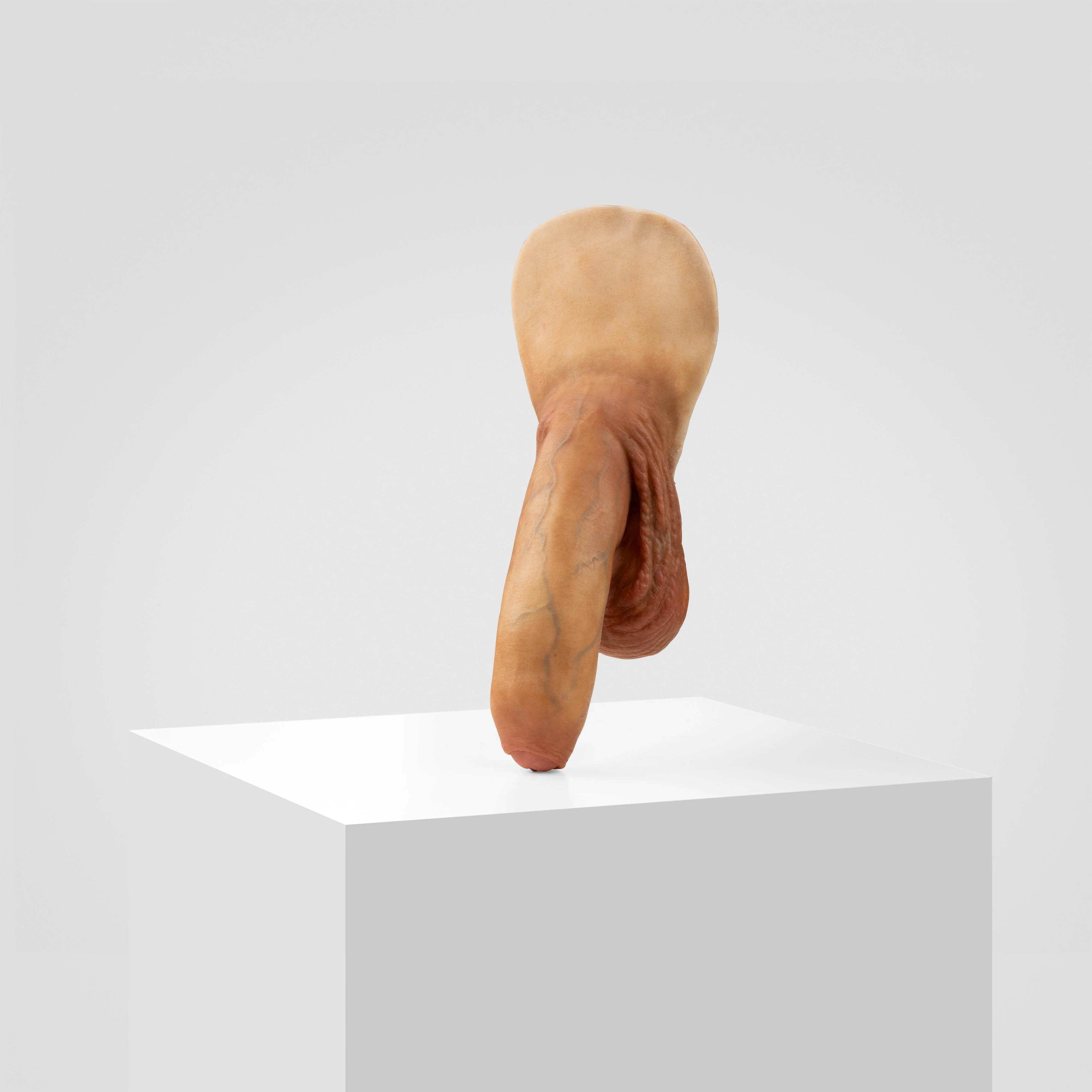 Emisil FL11 | Realistic Uncut FTM Packing Model - Image 150