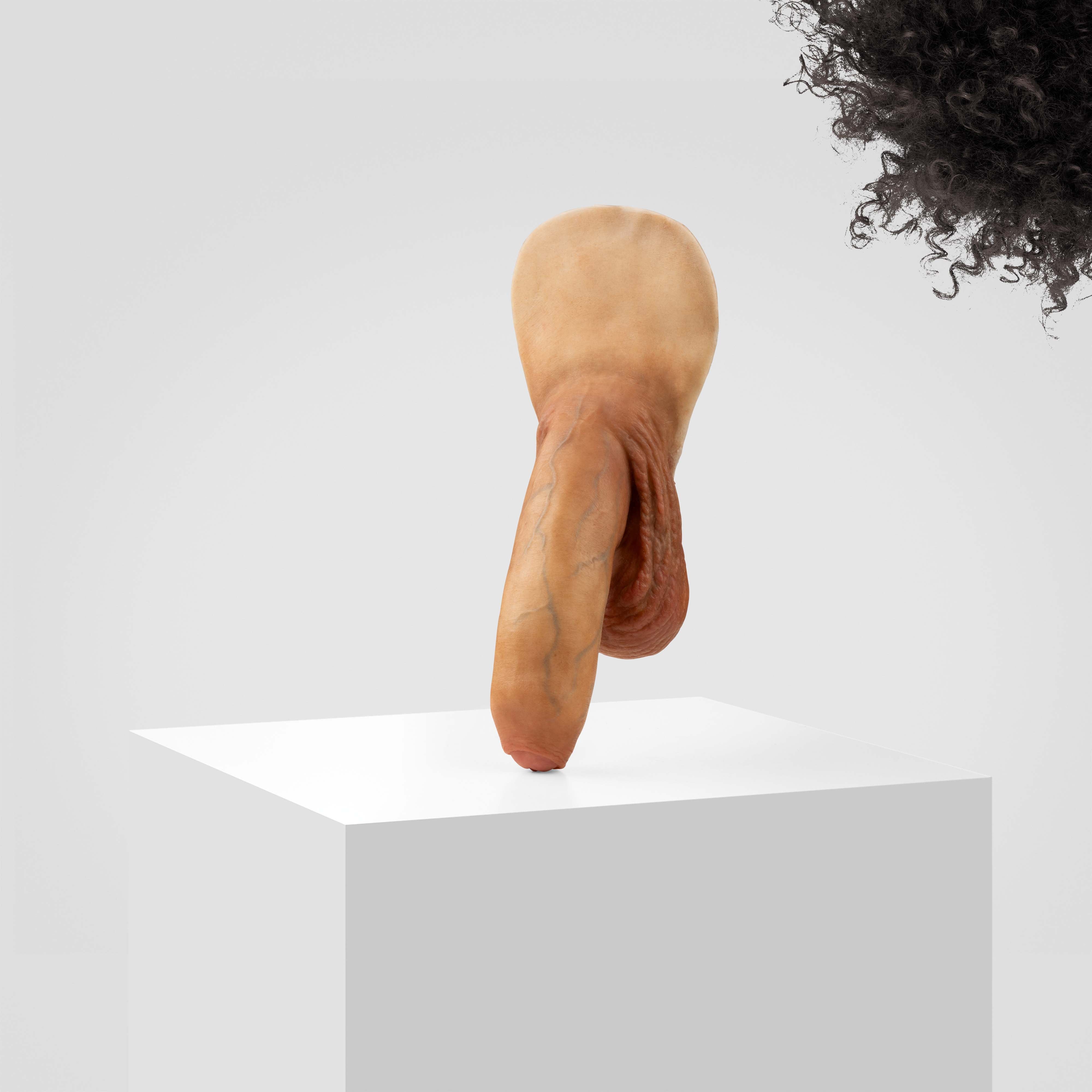 Emisil FL11 | Realistic Uncut FTM Packing Model - Image 151