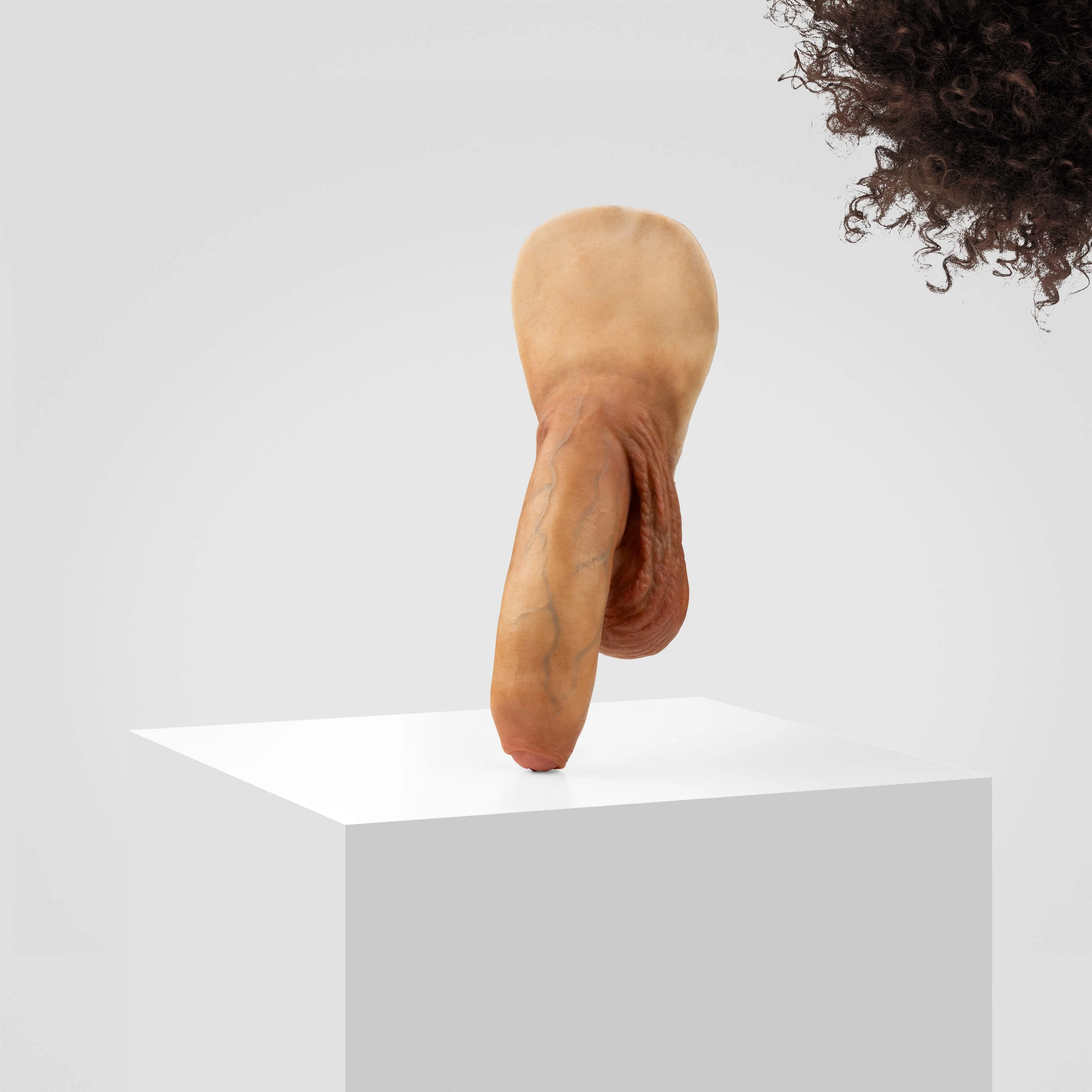 Emisil FL11 | Realistic Uncut FTM Packing Model - Image 152