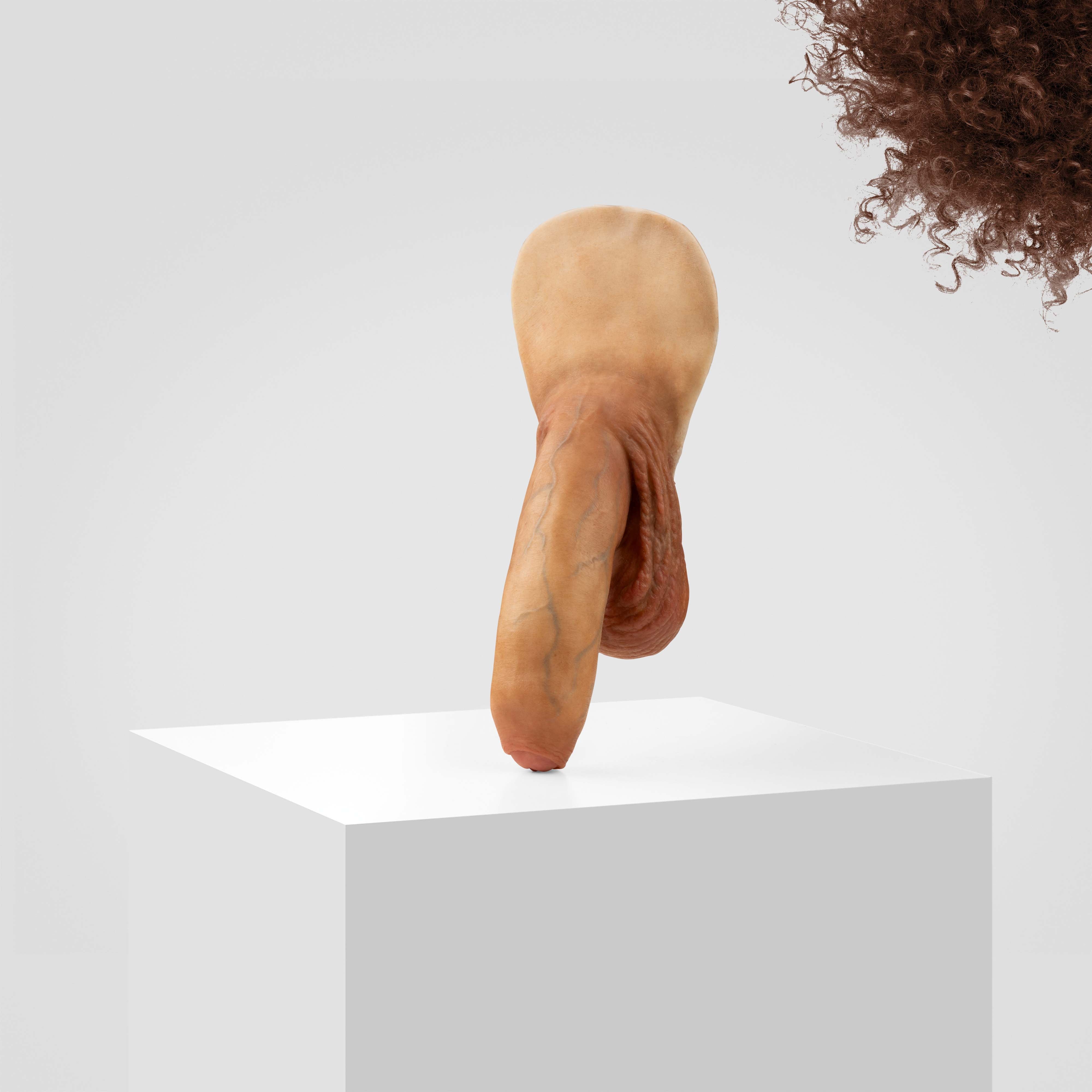 Emisil FL11 | Realistic Uncut FTM Packing Model - Image 153
