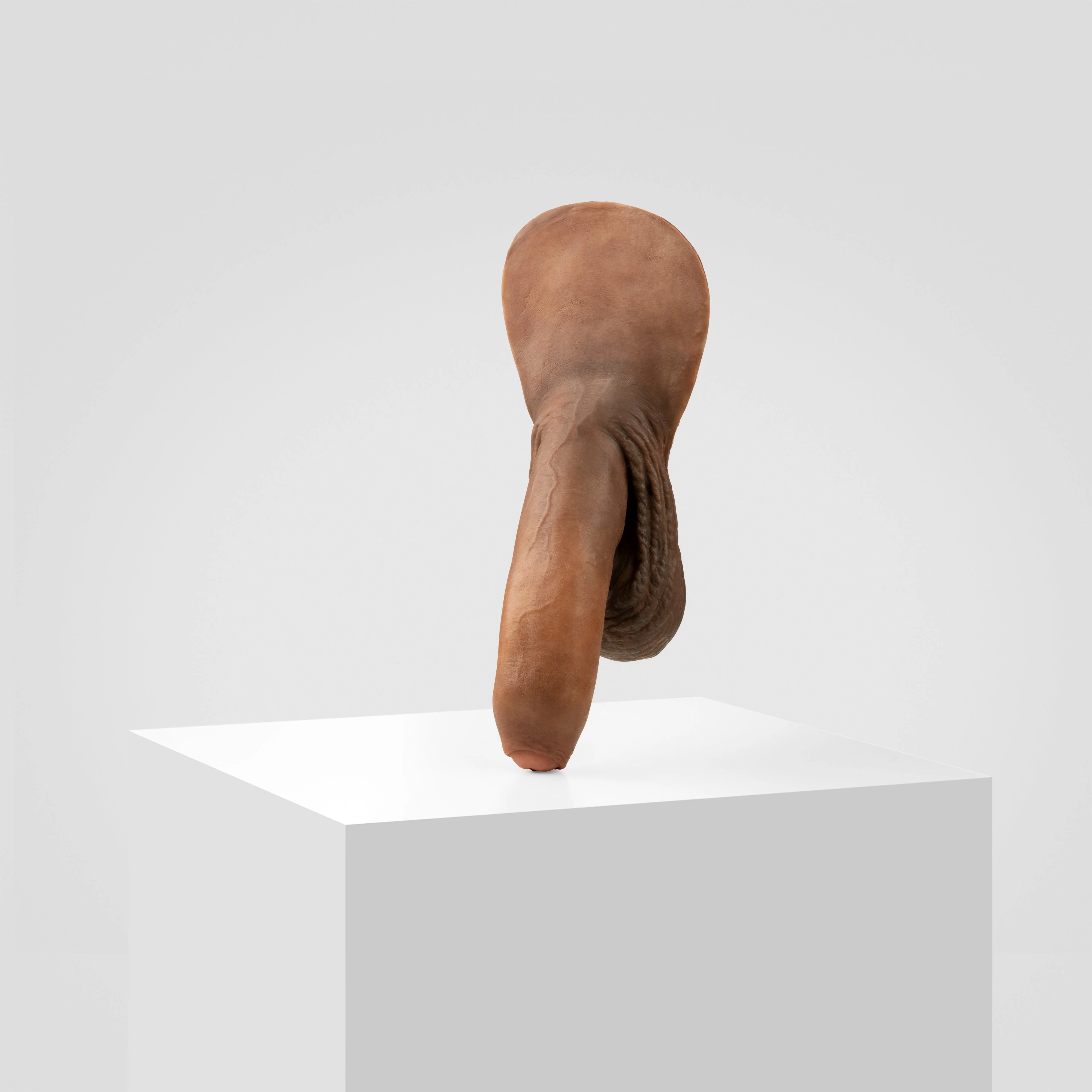 Emisil FL11 | Realistic Uncut FTM Packing Model - Image 156