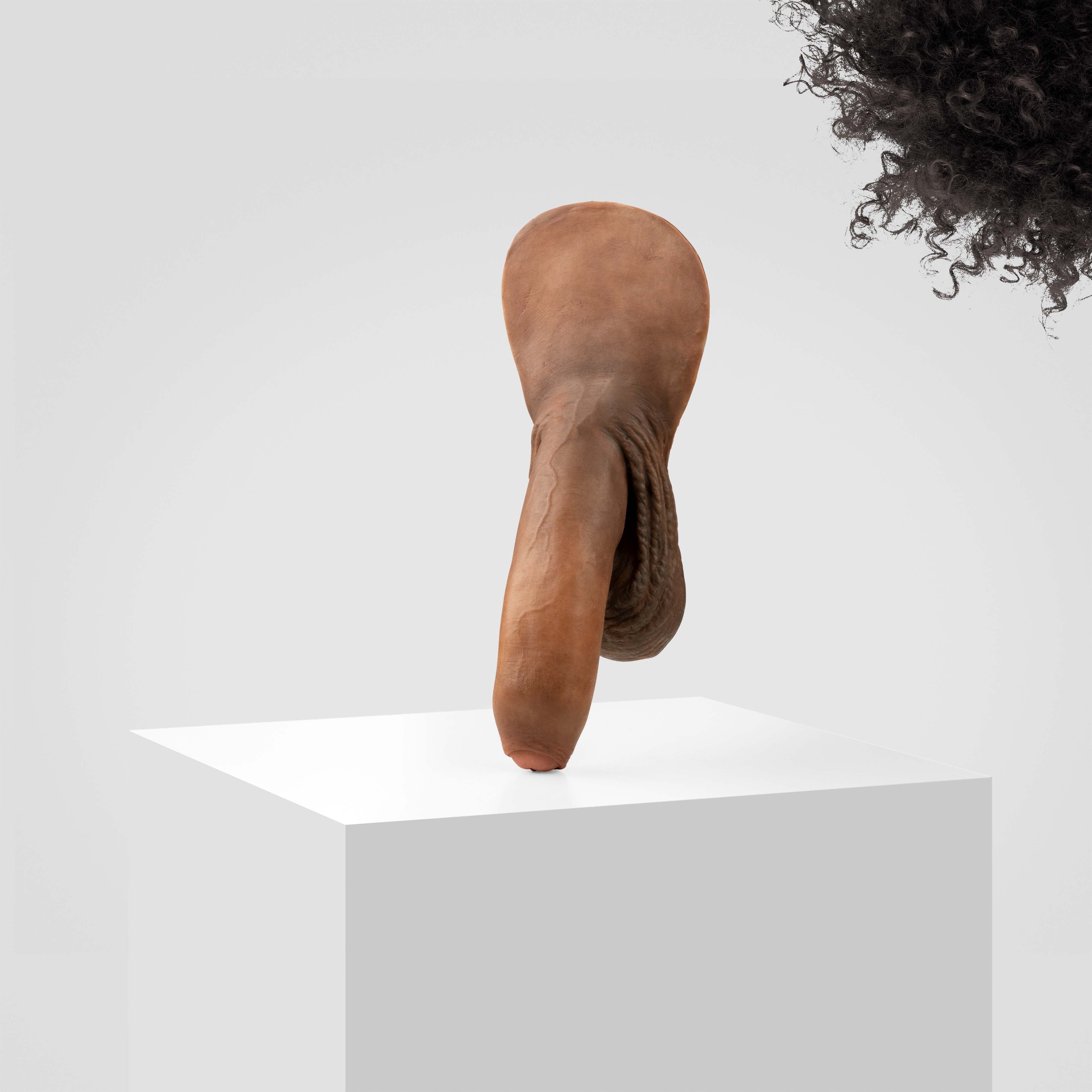 Emisil FL11 | Realistic Uncut FTM Packing Model - Image 157