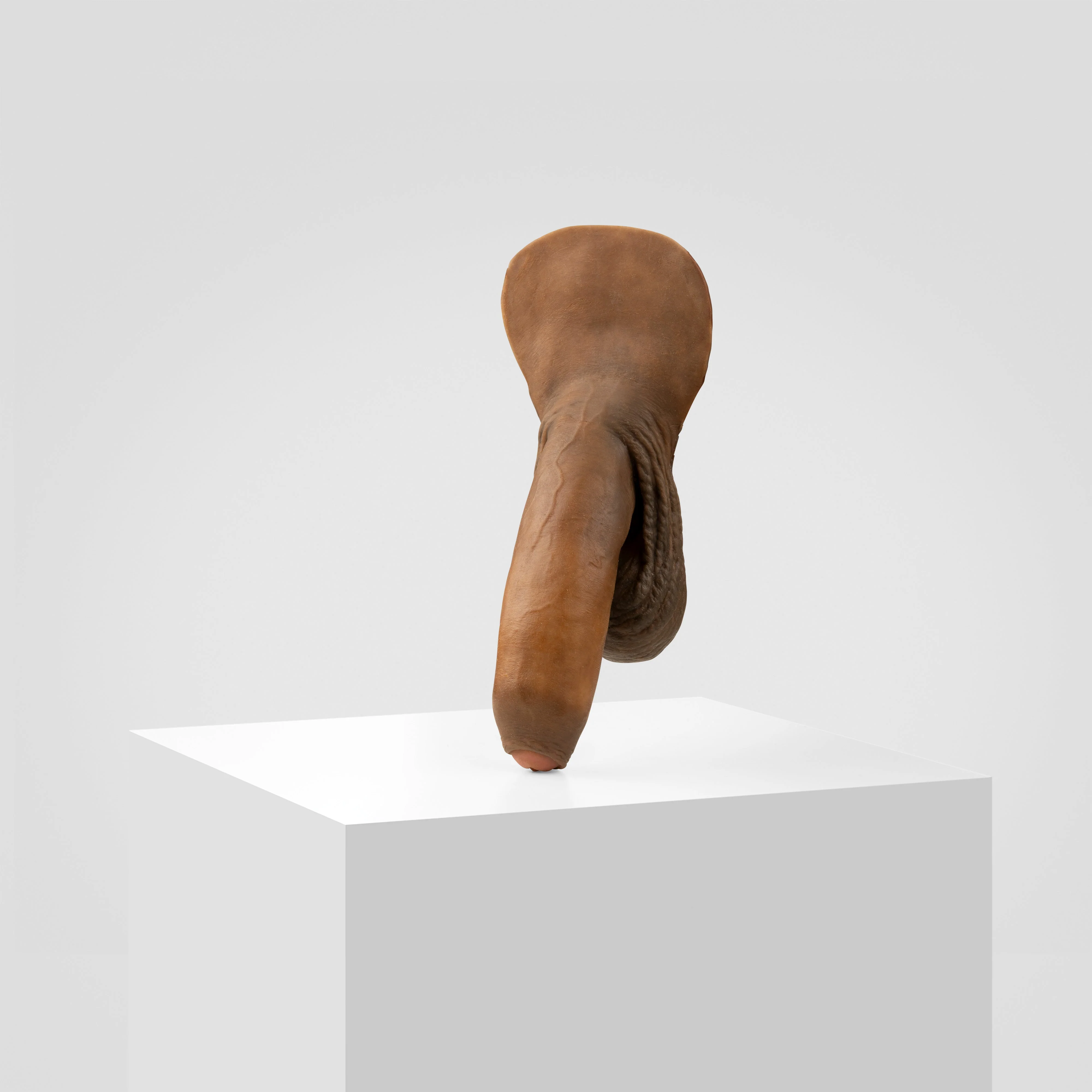Emisil FL11 | Realistic Uncut FTM Packing Model - Image 162
