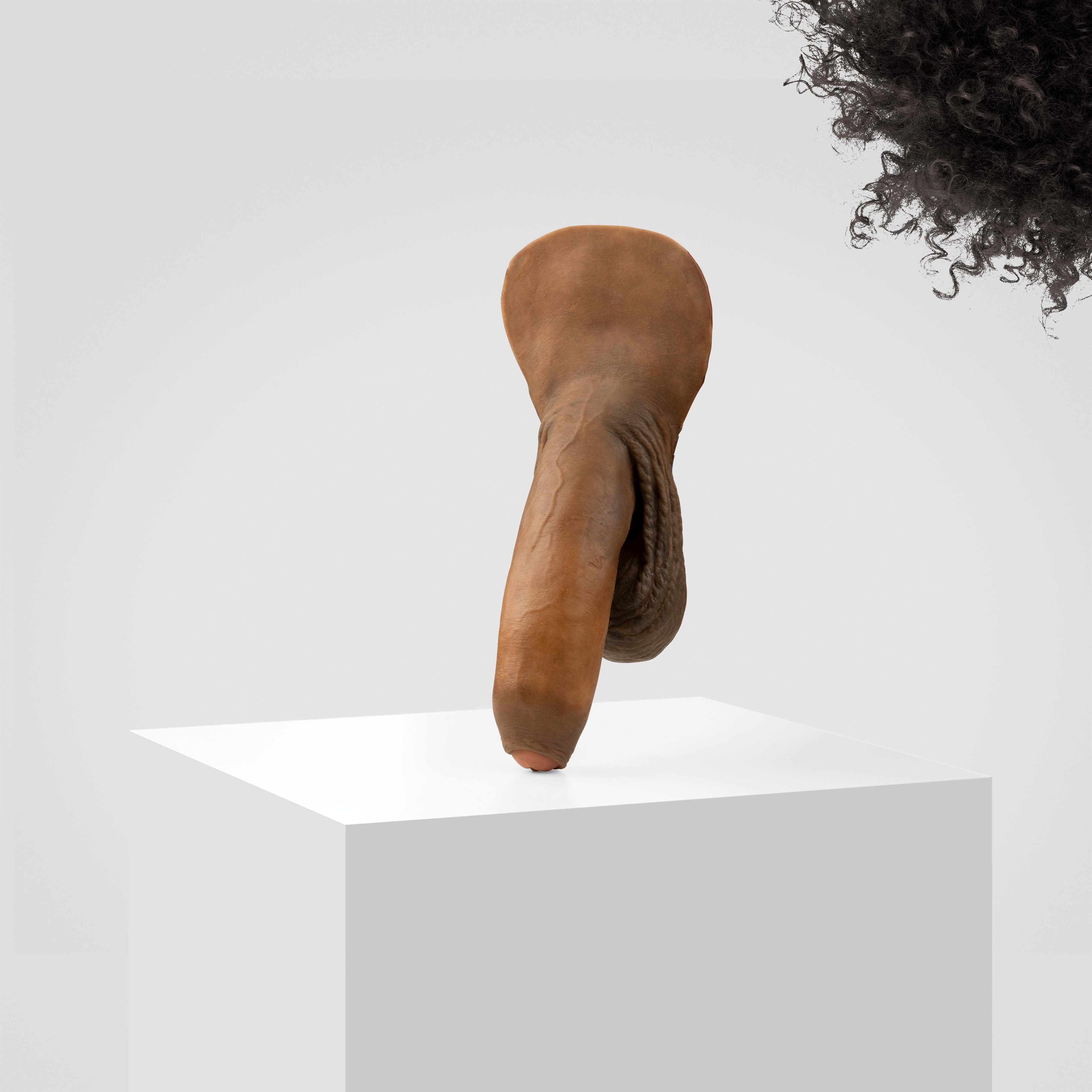 Emisil FL11 | Realistic Uncut FTM Packing Model - Image 163