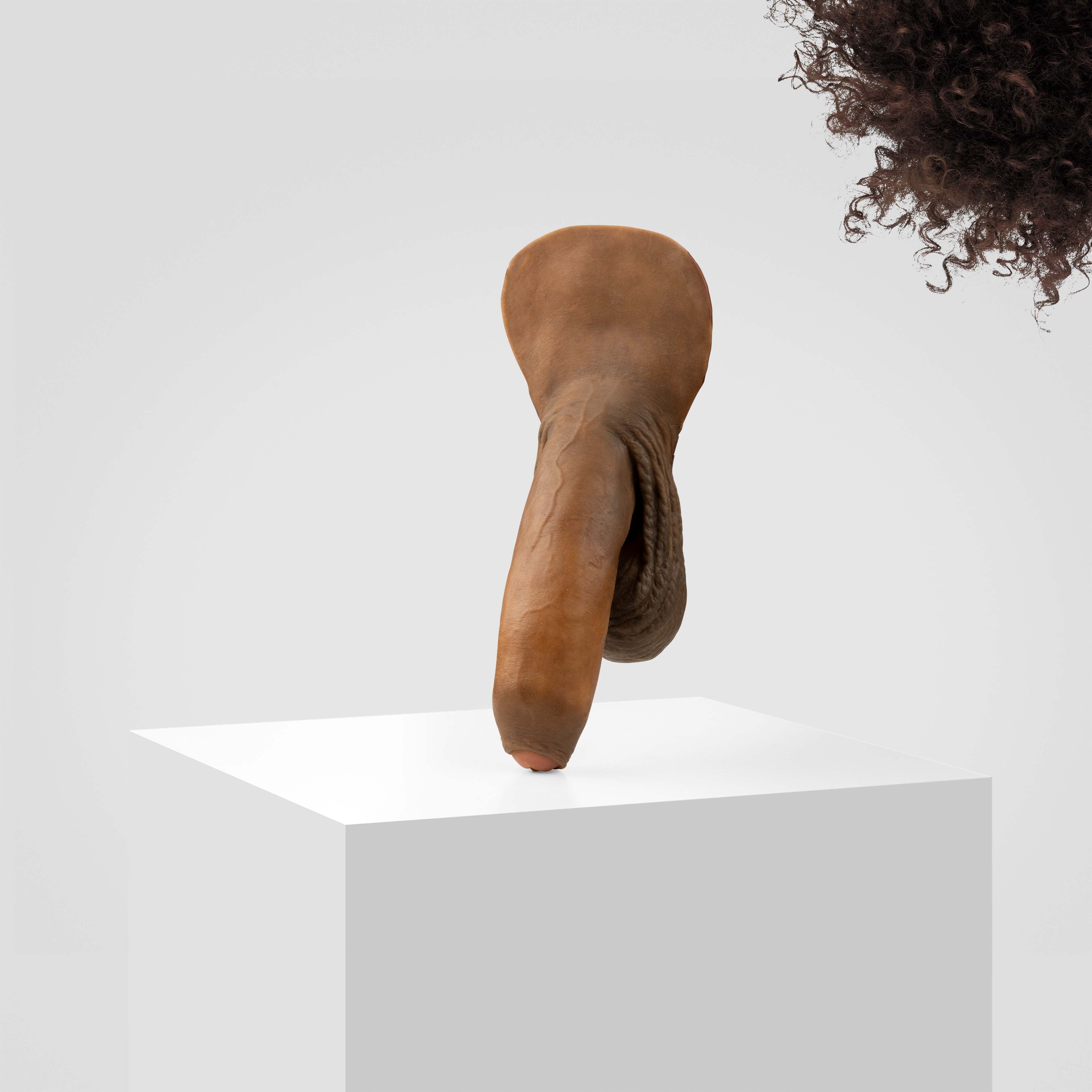 Emisil FL11 | Realistic Uncut FTM Packing Model - Image 164