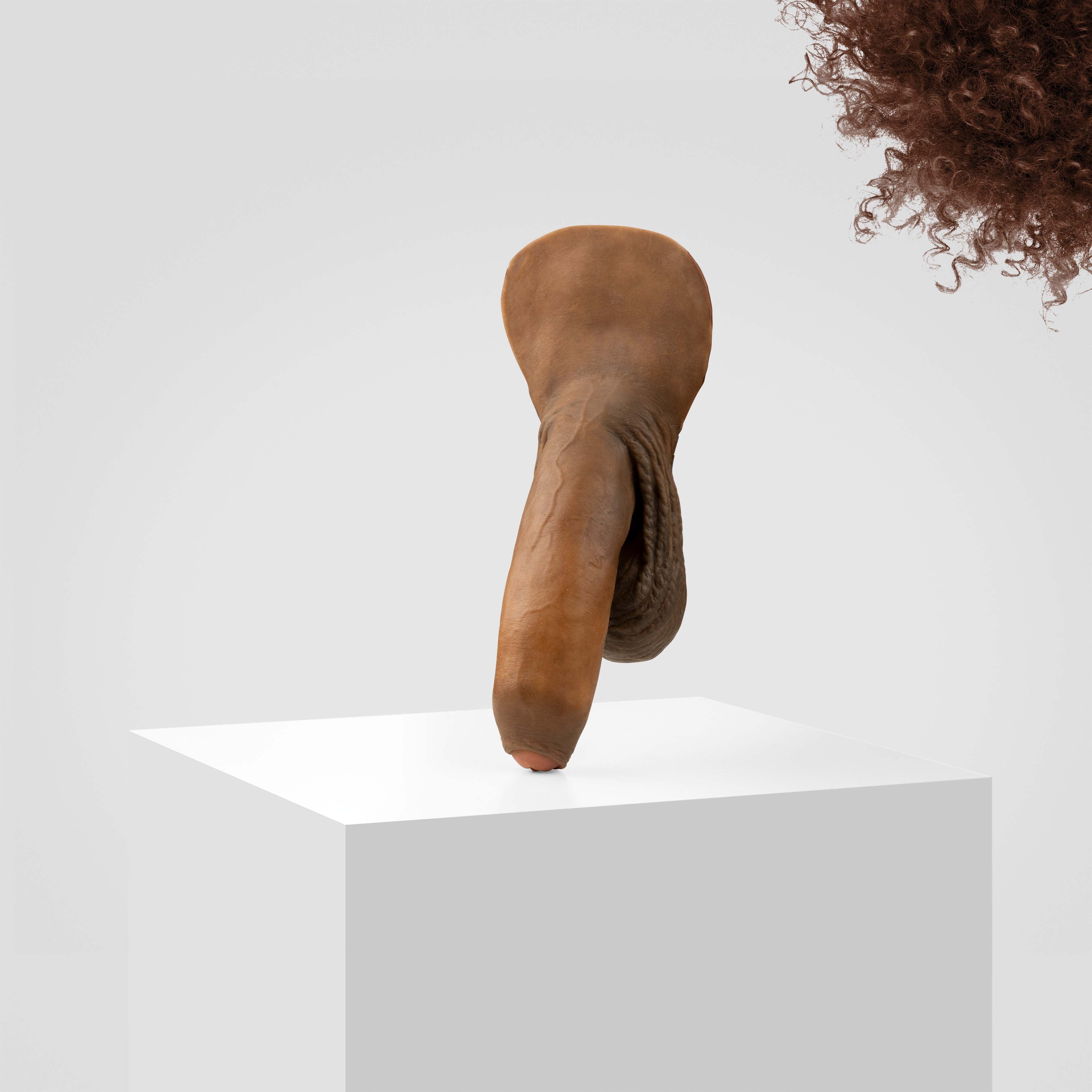 Emisil FL11 | Realistic Uncut FTM Packing Model - Image 165
