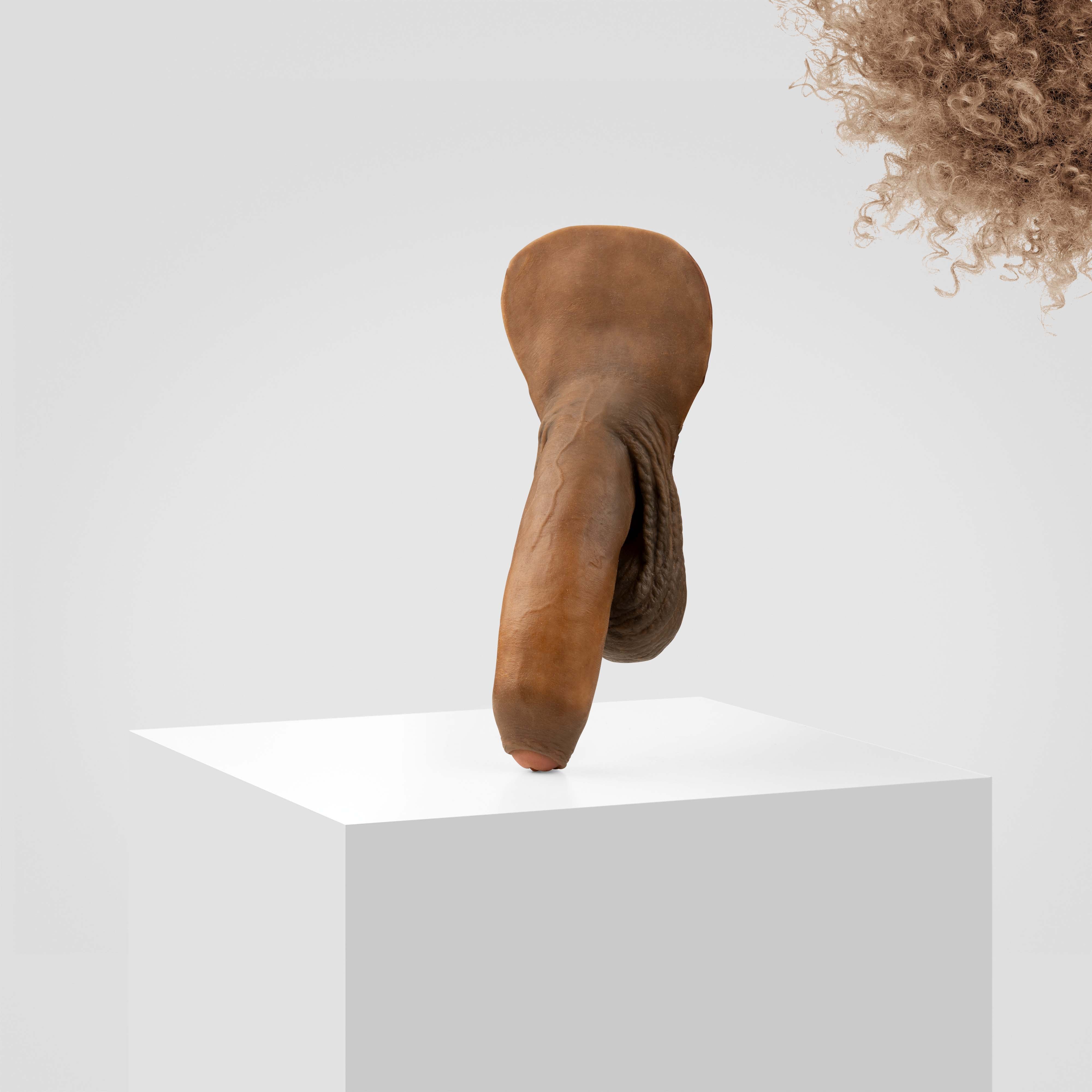 Emisil FL11 | Realistic Uncut FTM Packing Model - Image 166