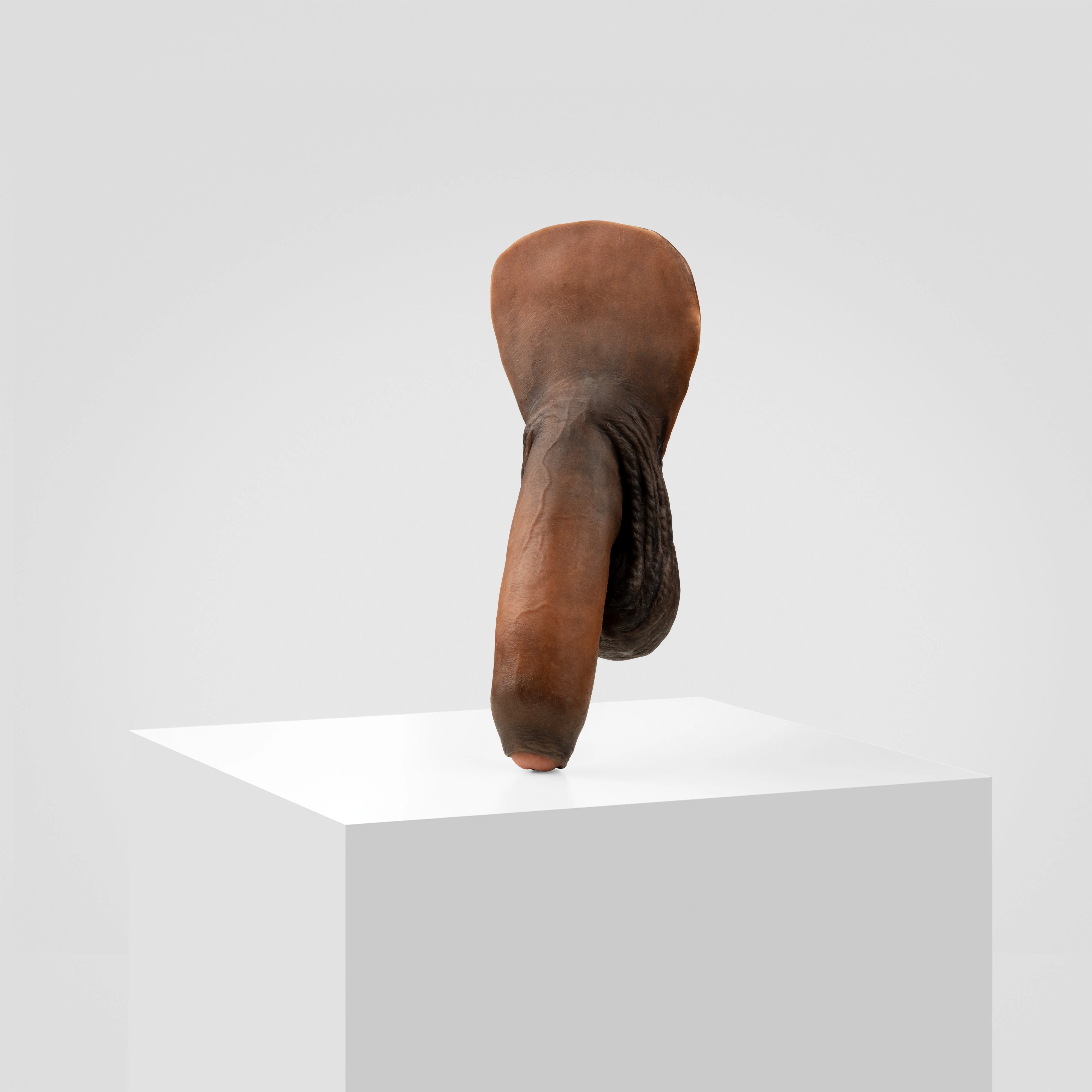 Emisil FL11 | Realistic Uncut FTM Packing Model - Image 168