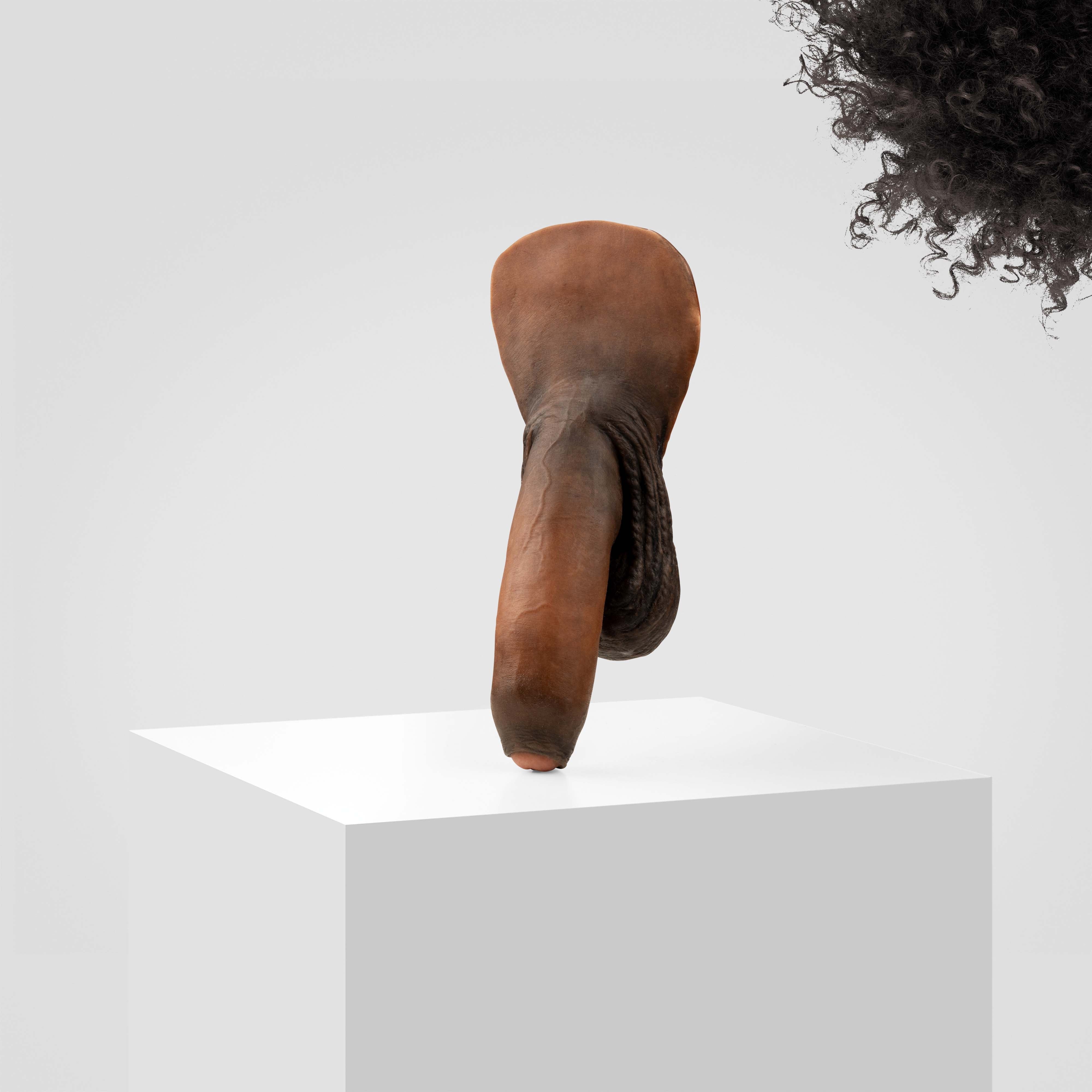 Emisil FL11 | Realistic Uncut FTM Packing Model - Image 169