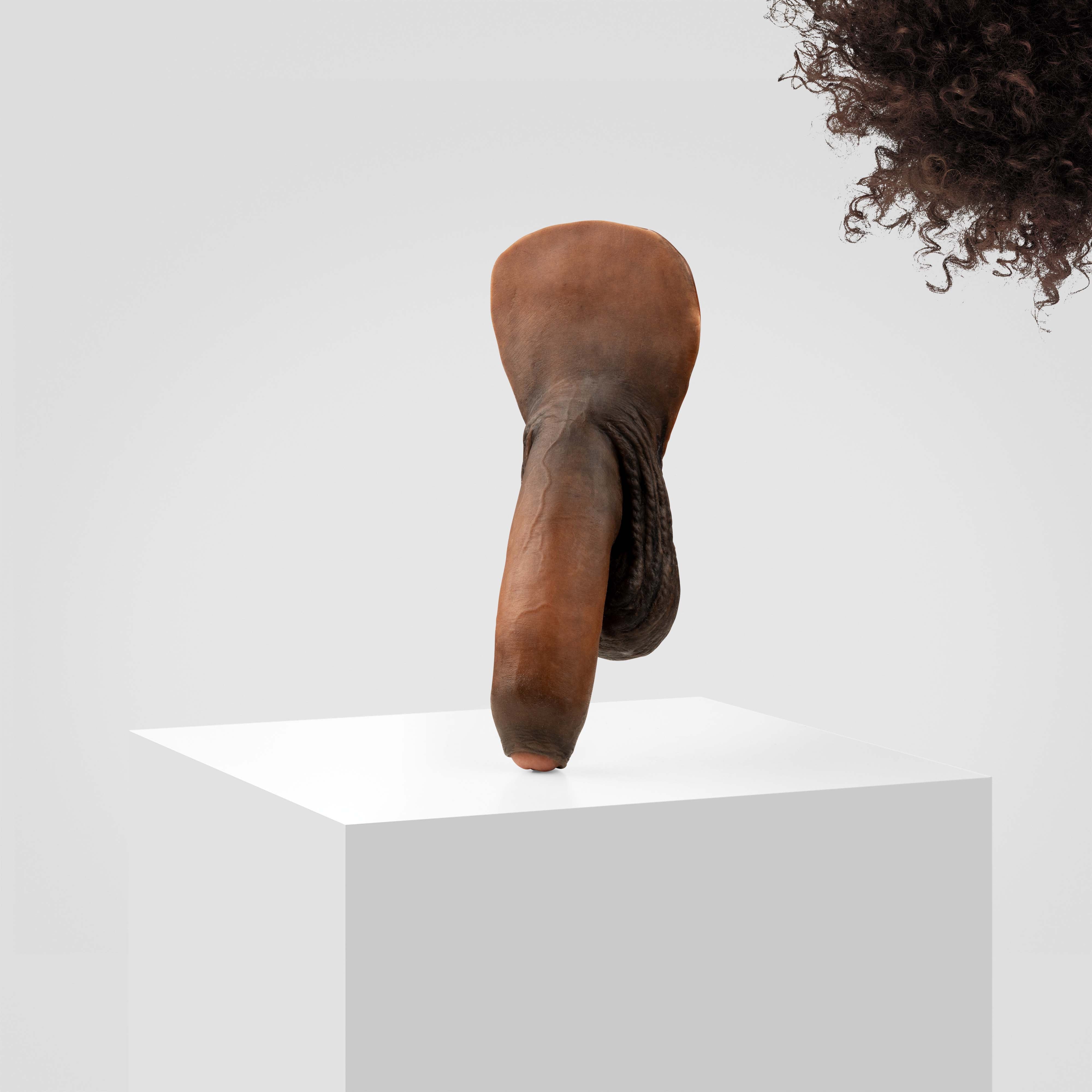Emisil FL11 | Realistic Uncut FTM Packing Model - Image 170