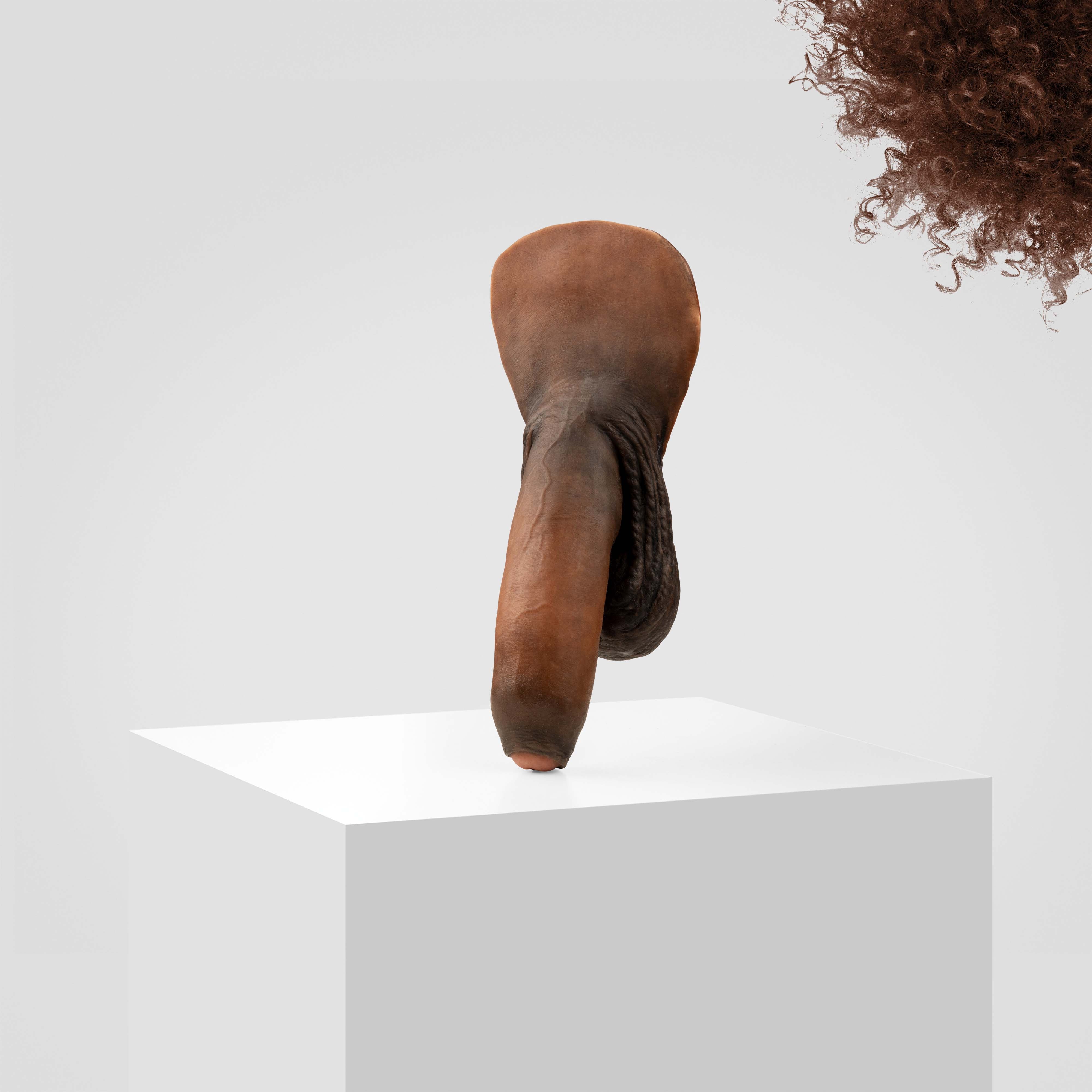 Emisil FL11 | Realistic Uncut FTM Packing Model - Image 171