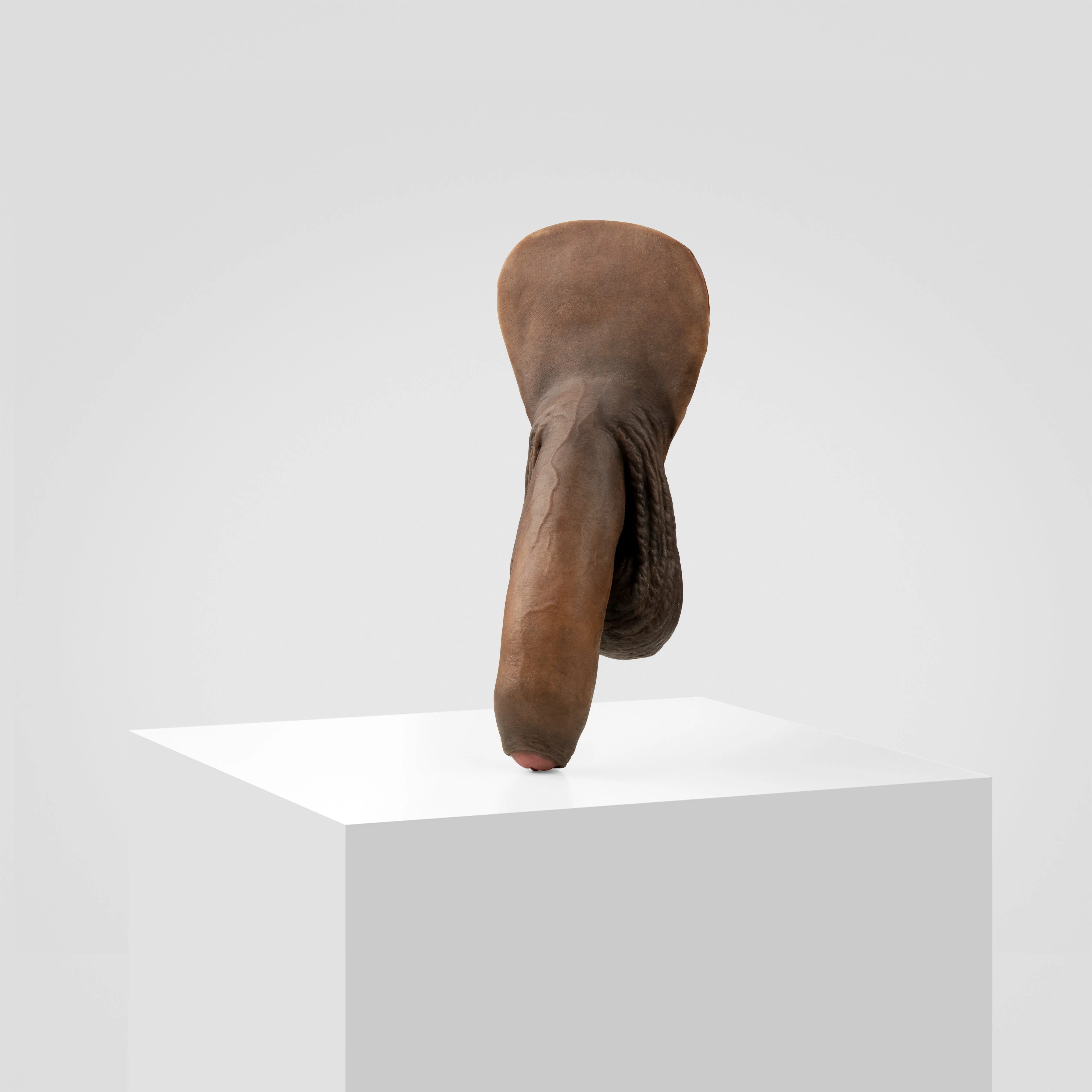 Emisil FL11 | Realistic Uncut FTM Packing Model - Image 174